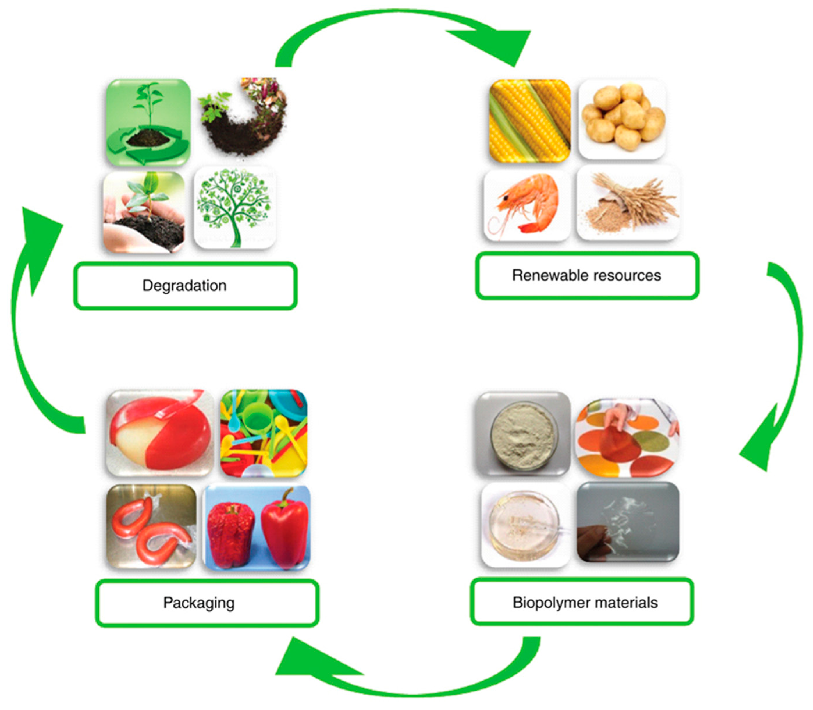 Polymers 11 02039 g002