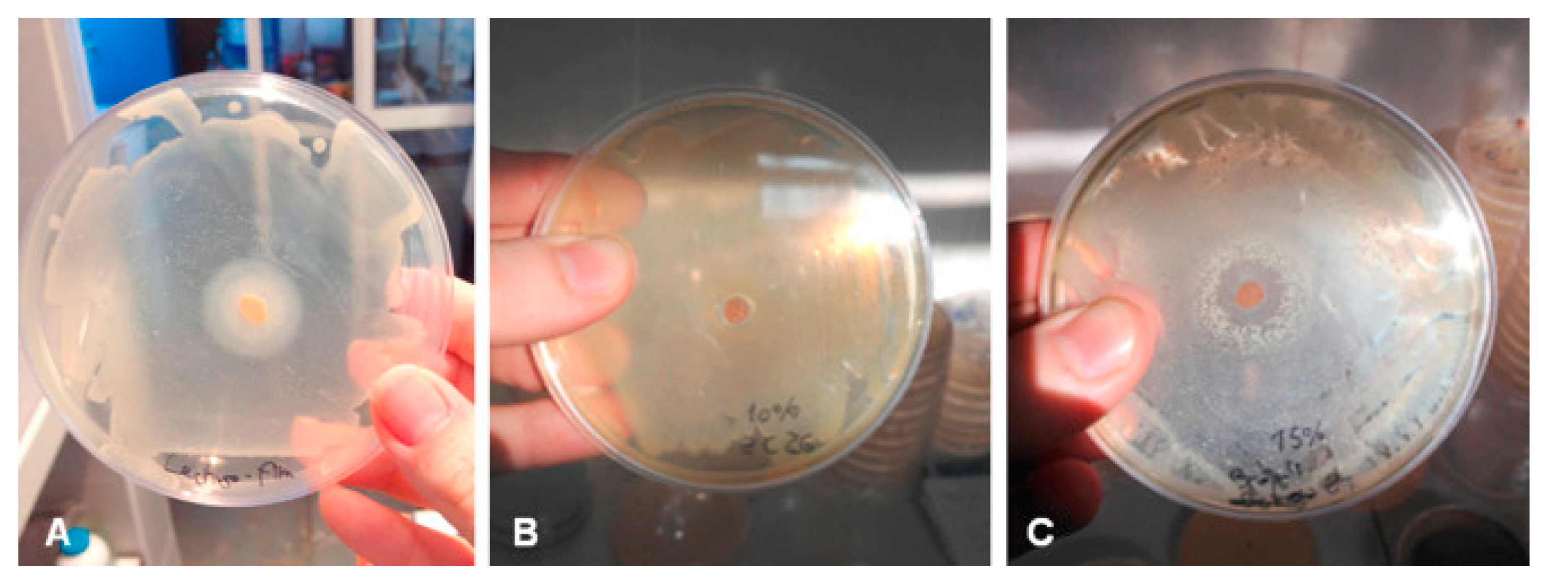 Polymers 11 02039 g003