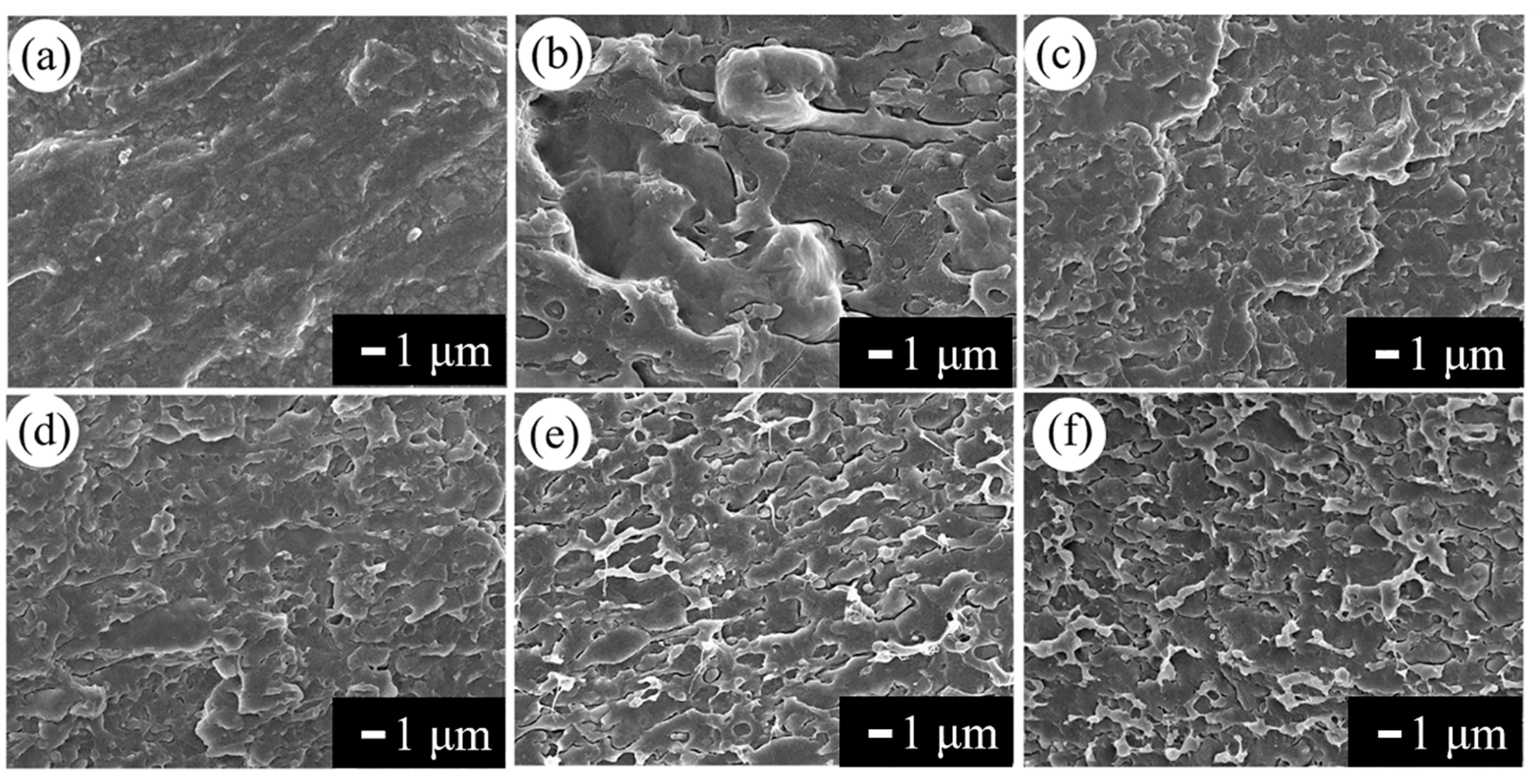 Polymers 11 02040 g006 Polymers 11 02040 g006