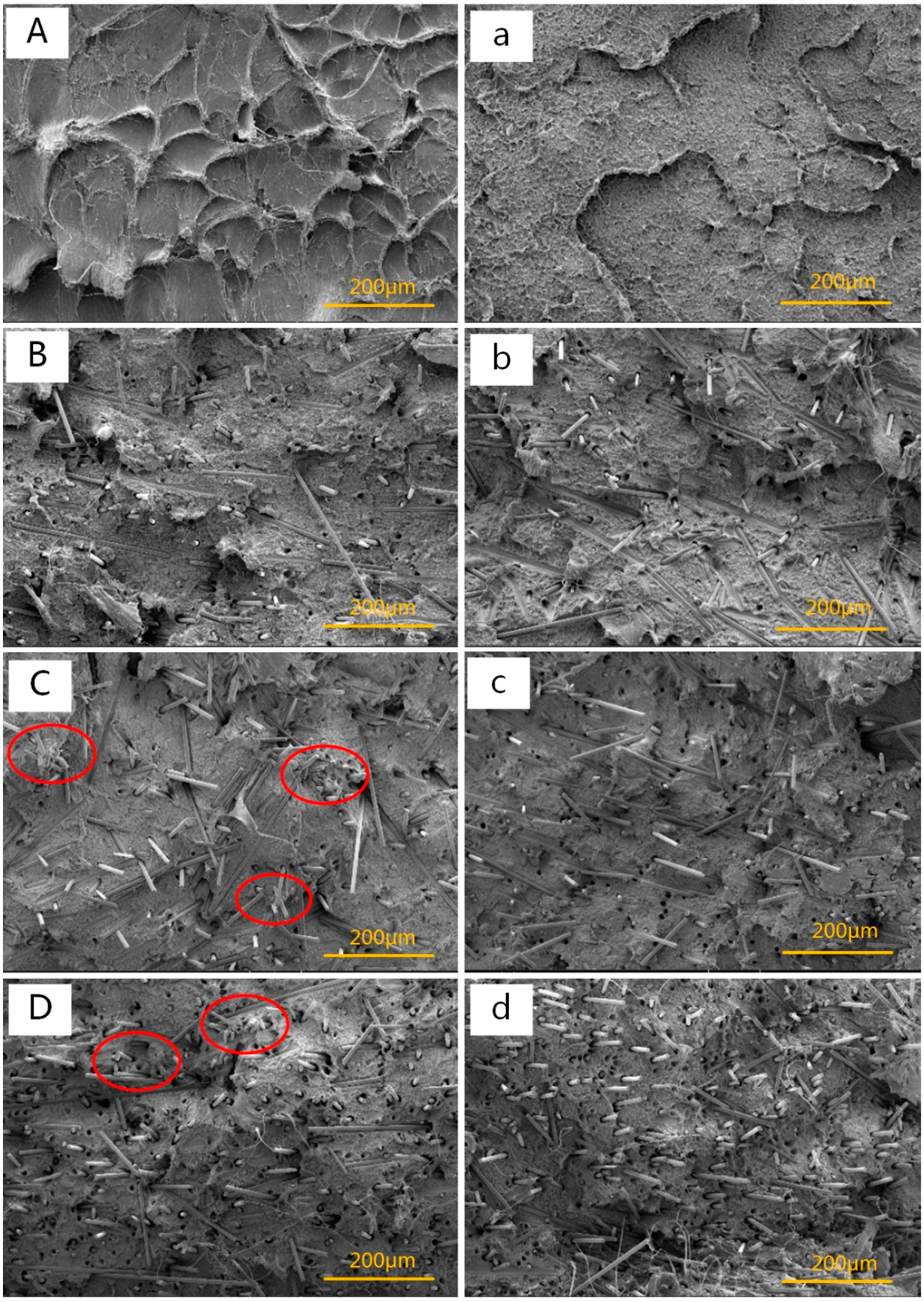 Polymers 11 02054 g003 Polymers 11 02054 g003