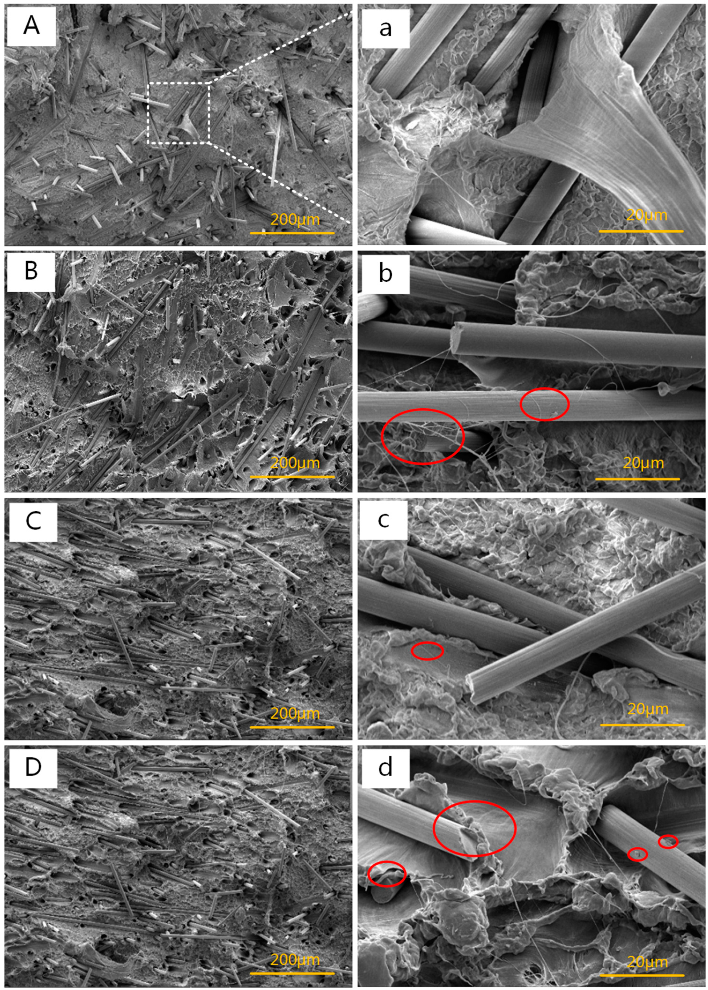 Polymers 11 02054 g004 Polymers 11 02054 g004