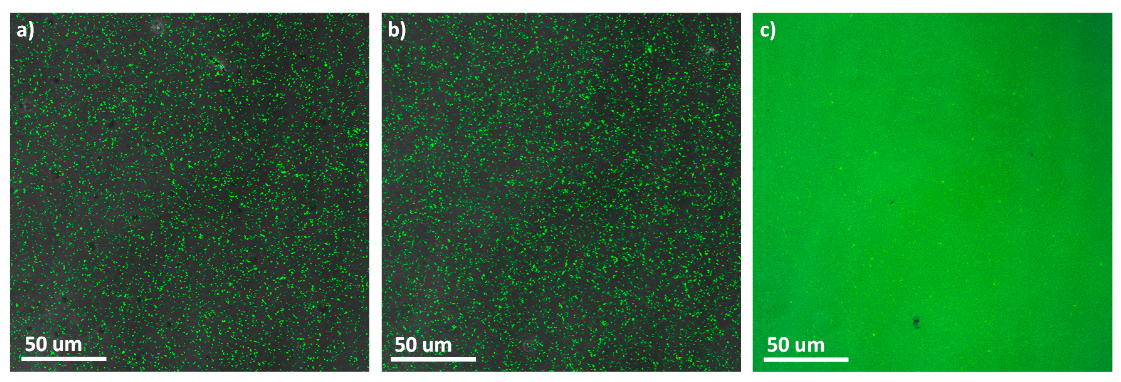 Polymers 11 02060 g010 Polymers 11 02060 g010