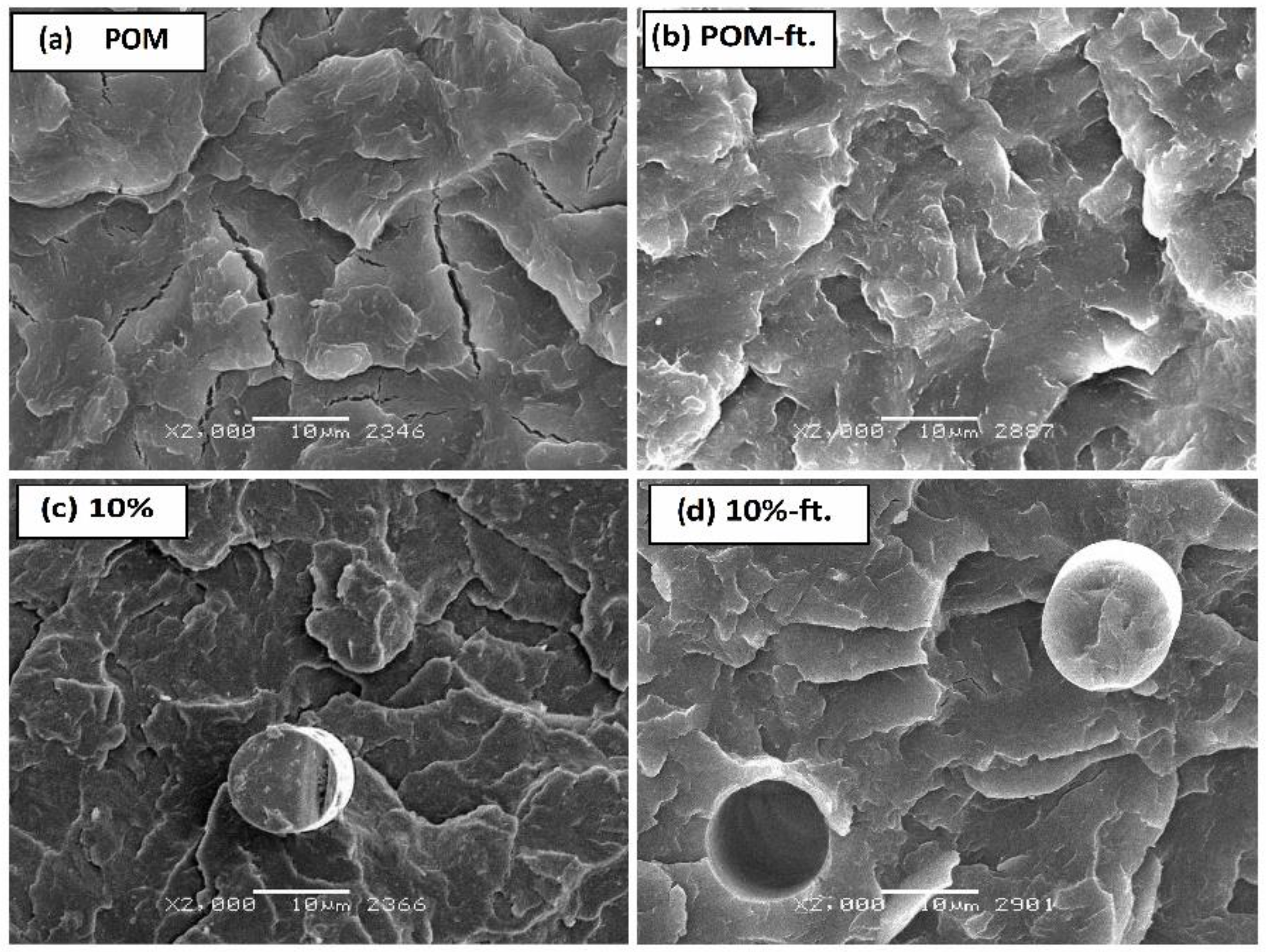 Polymers 11 02064 g008