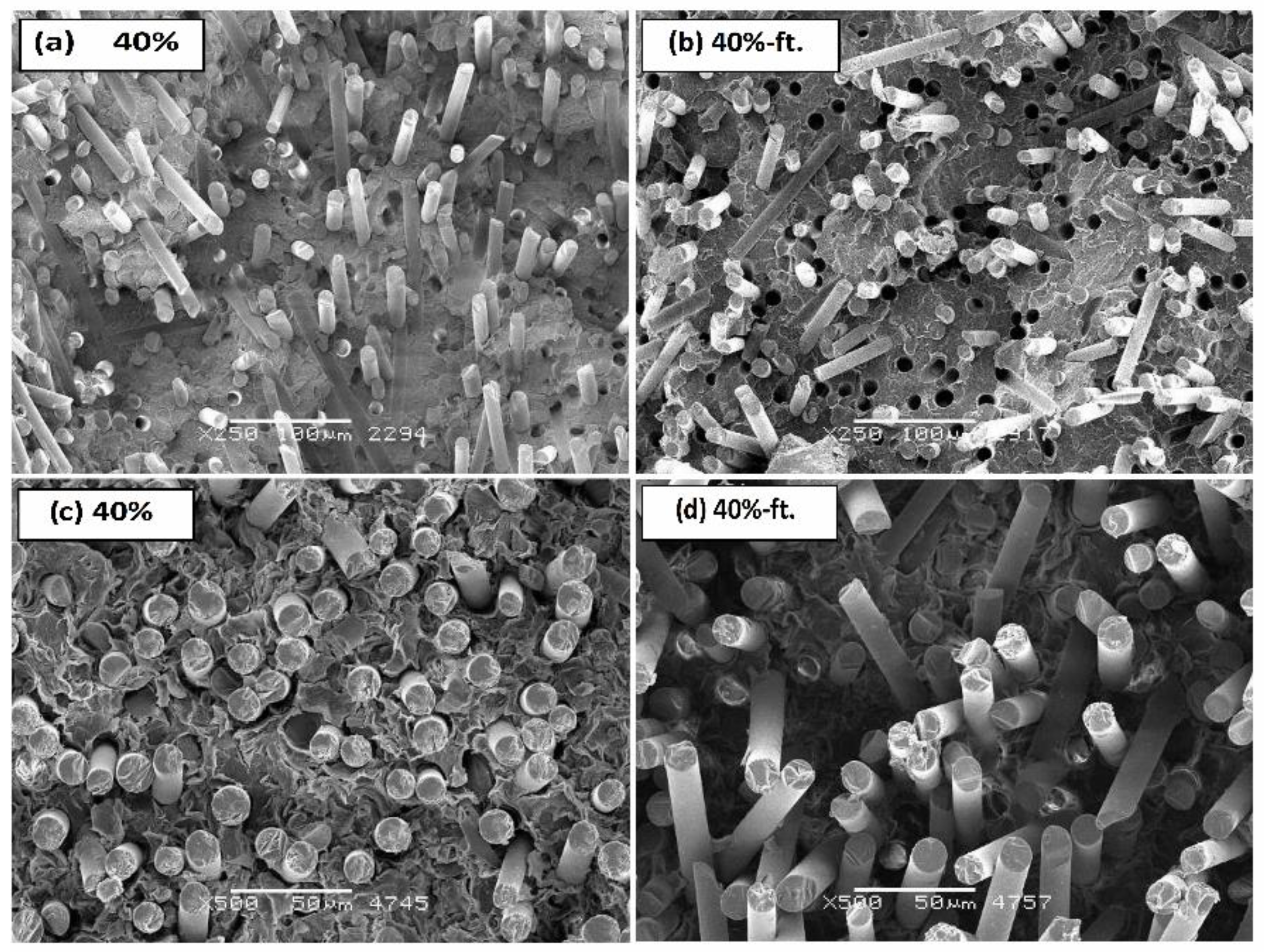 Polymers 11 02064 g009
