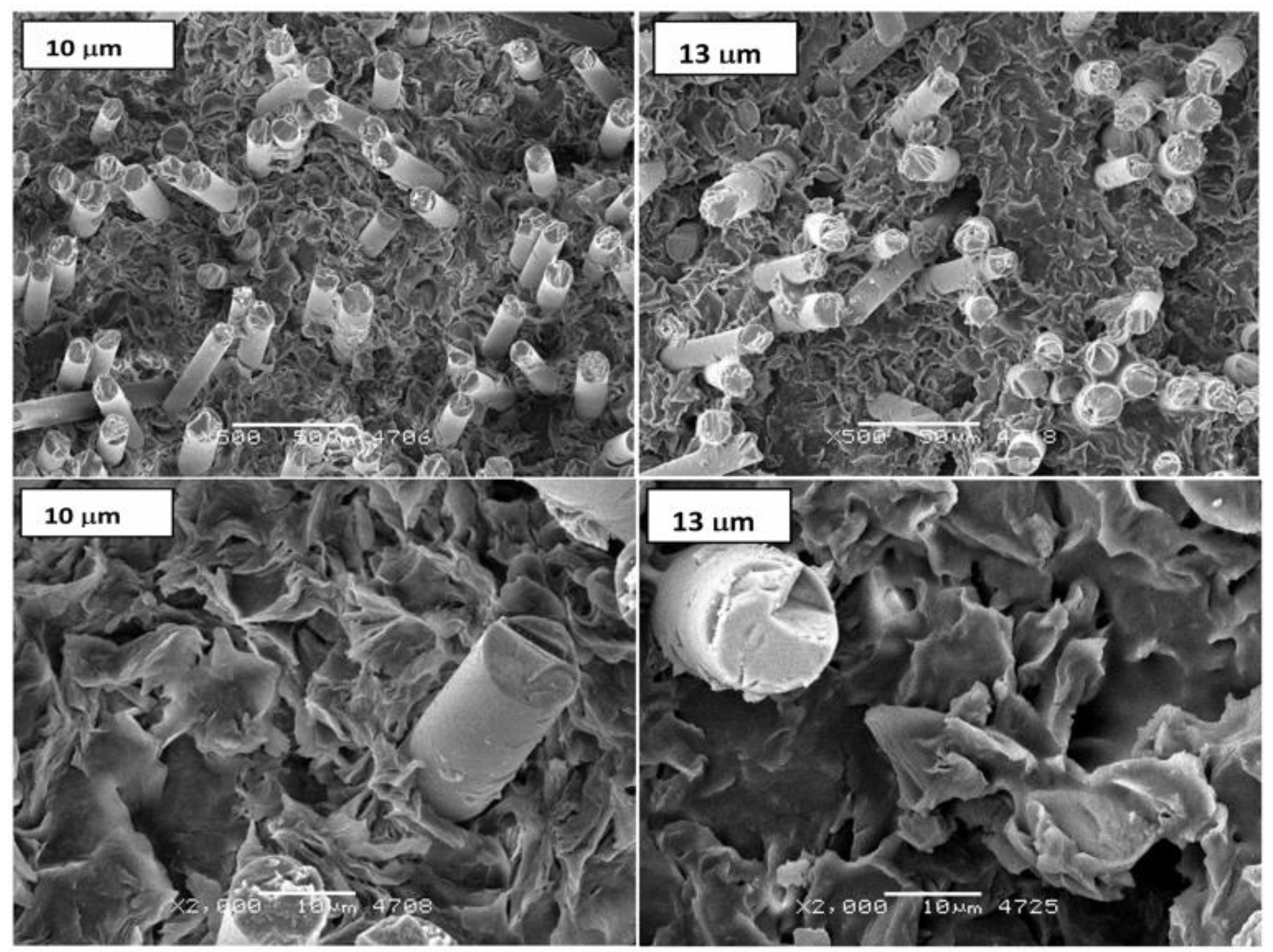Polymers 11 02064 g012