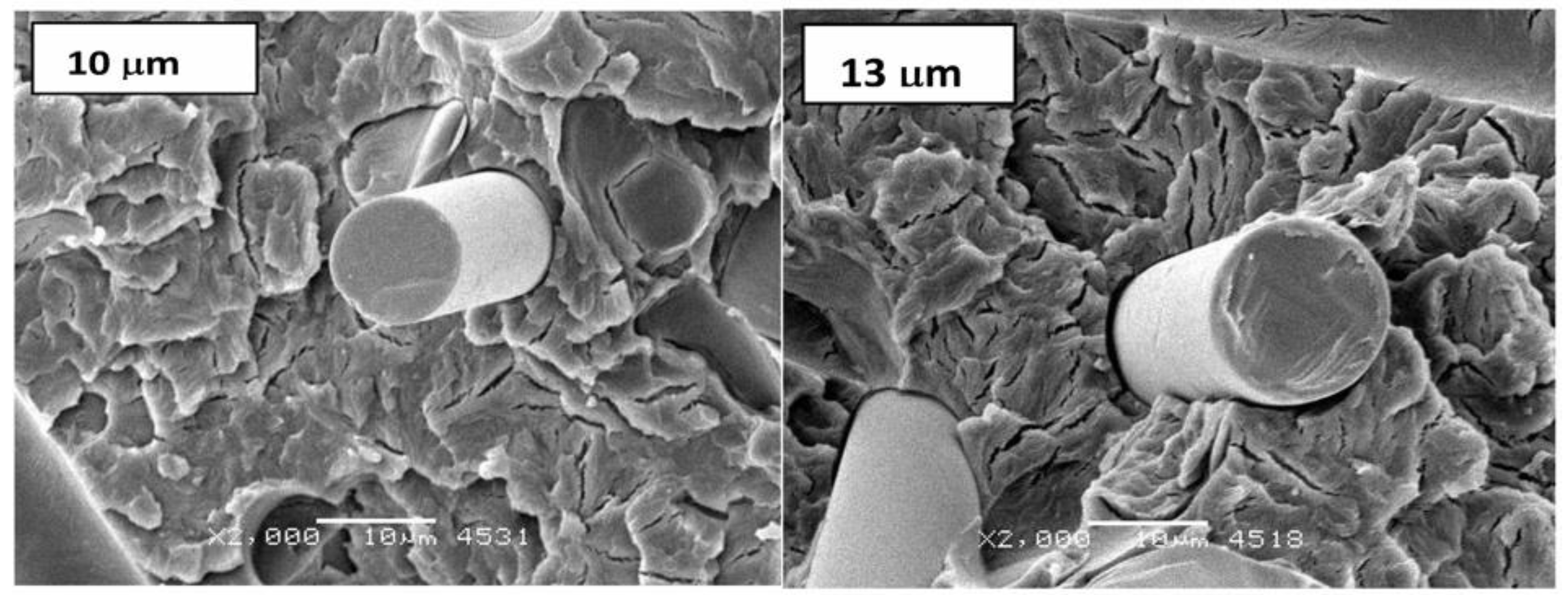 Polymers 11 02064 g013