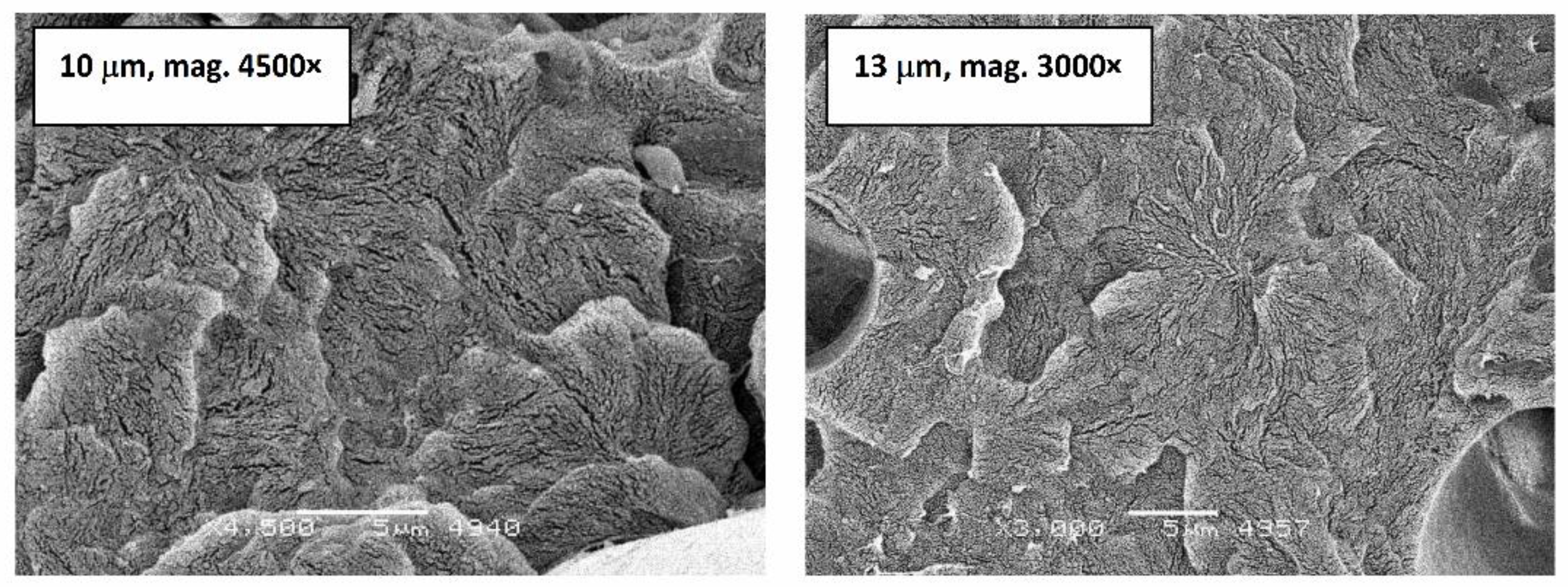 Polymers 11 02064 g016