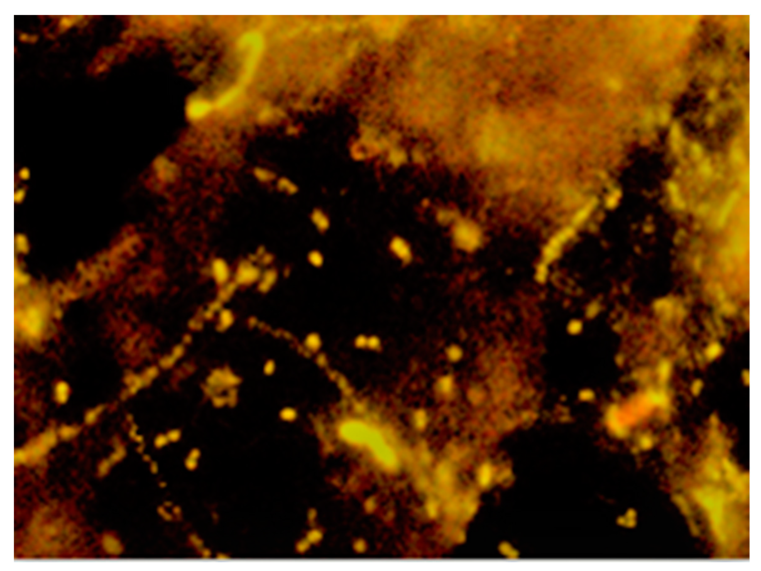 Polymers 11 02073 g010