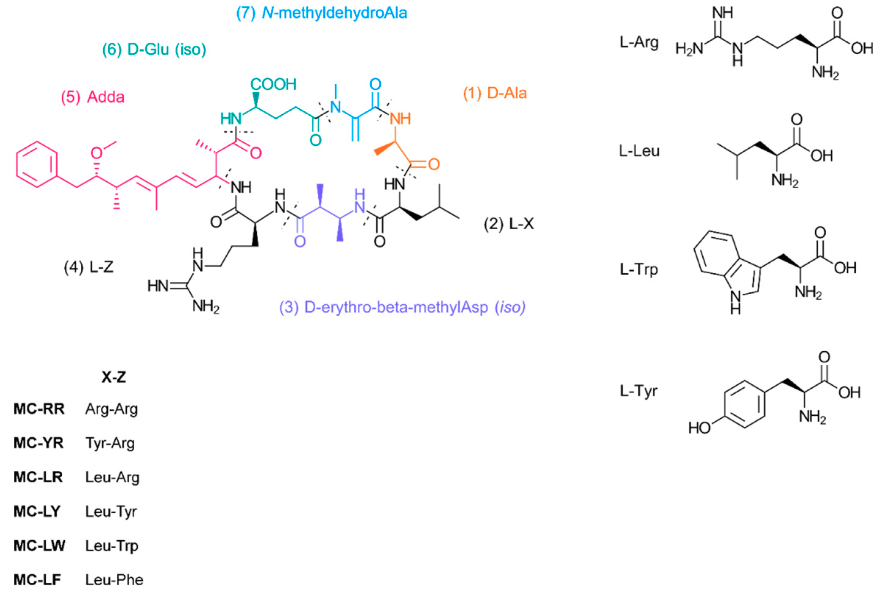 Polymers 11 02075 g003