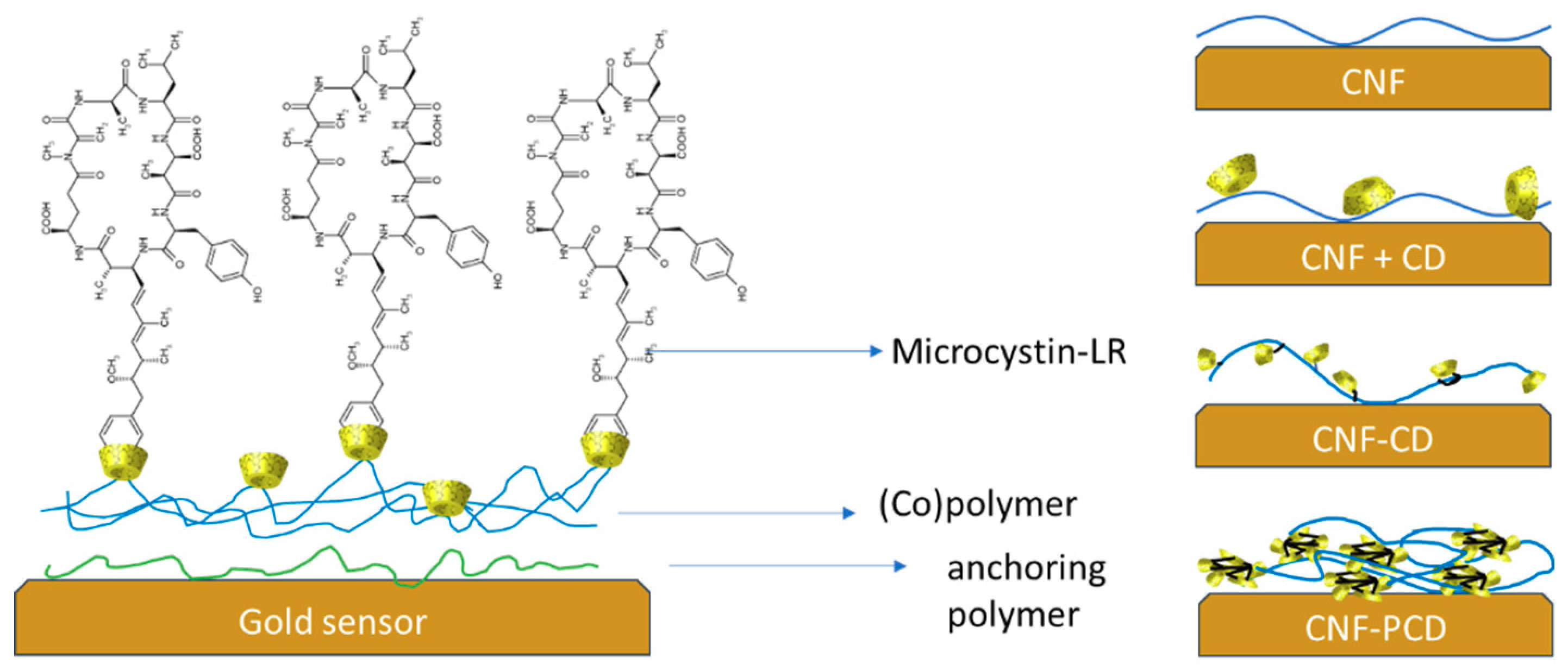 Polymers 11 02075 g008