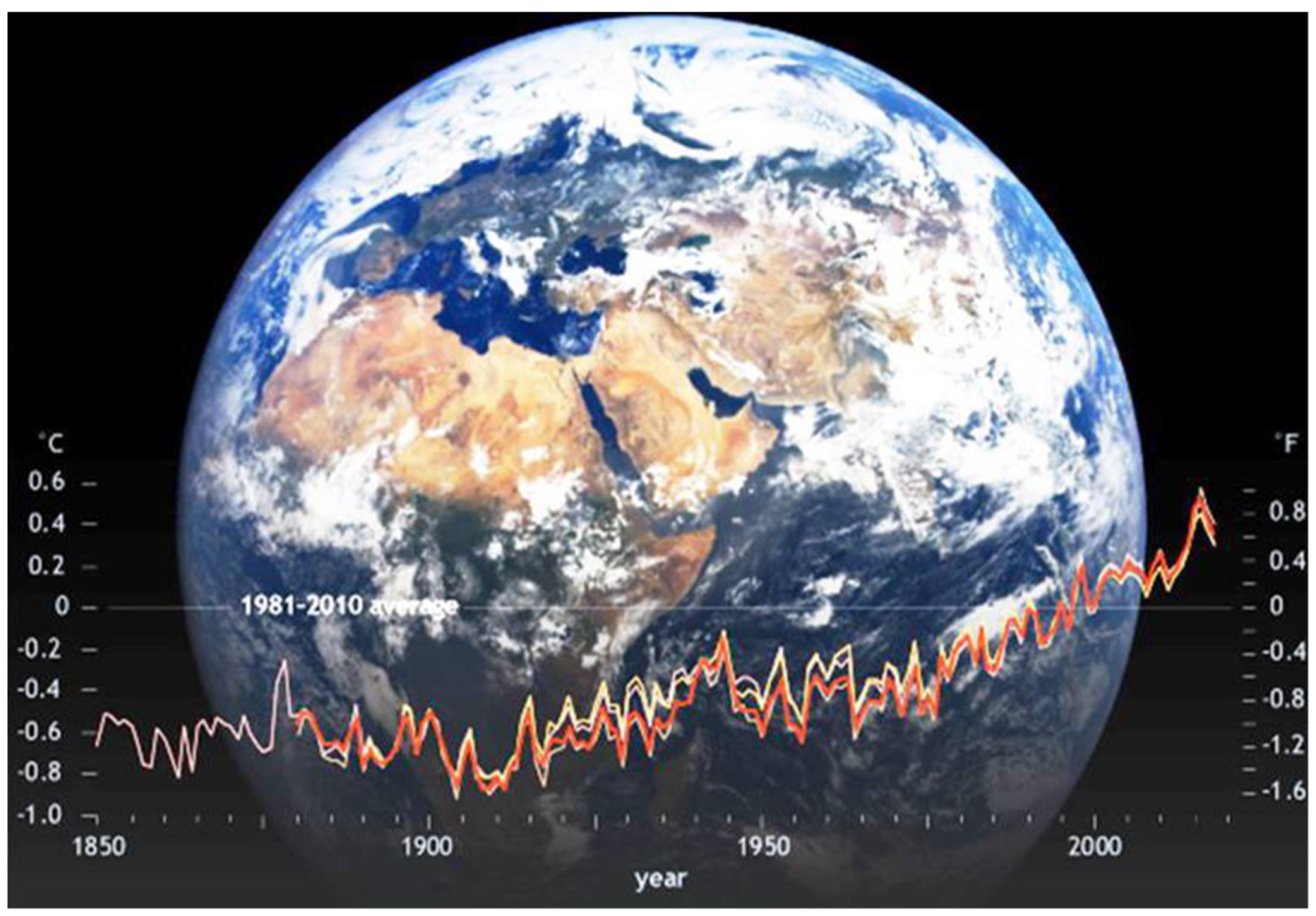 Polymers 11 02090 g001