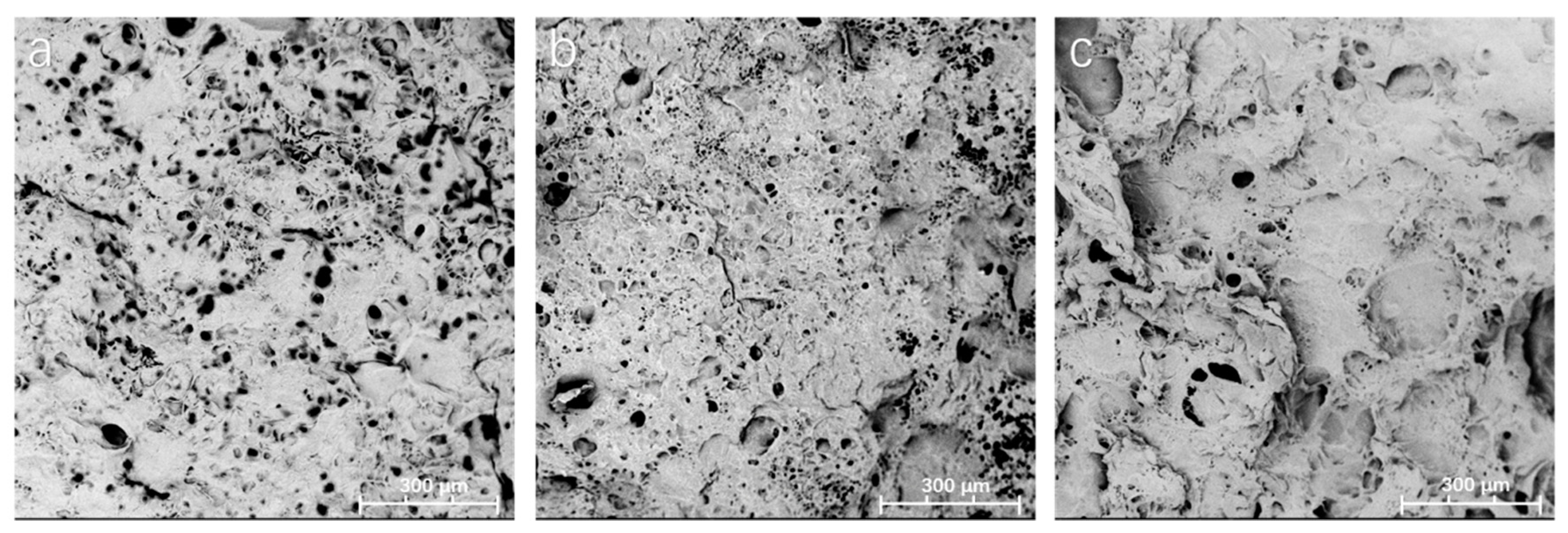Polymers 11 02102 g005 Polymers 11 02102 g005