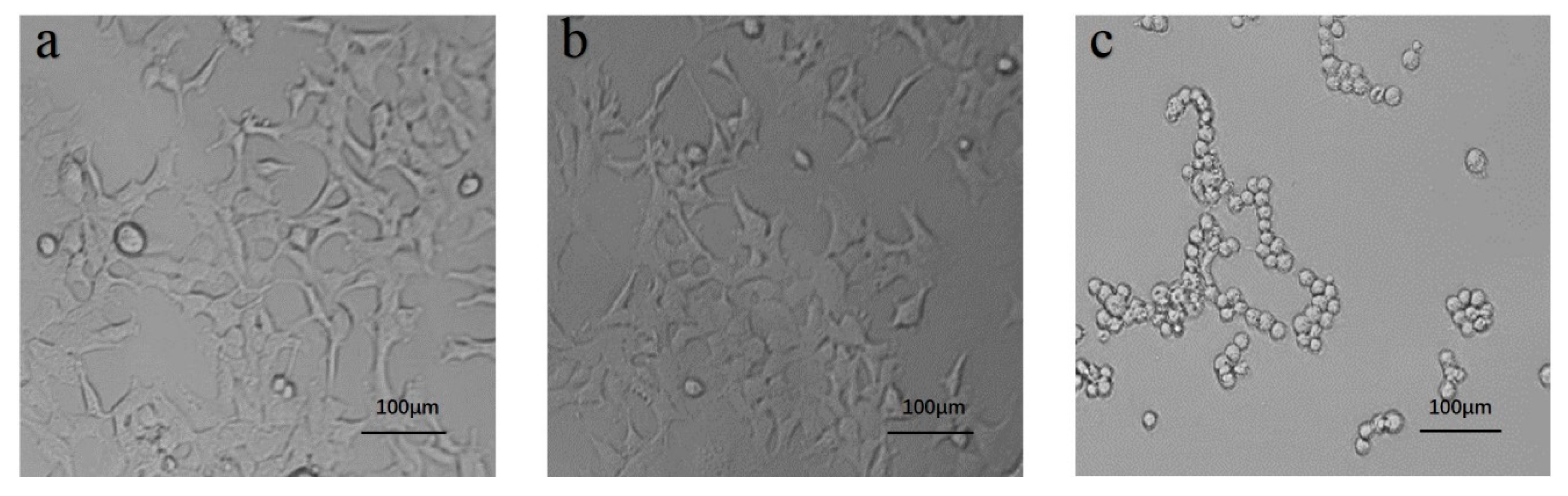 Polymers 11 02102 g009 Polymers 11 02102 g009