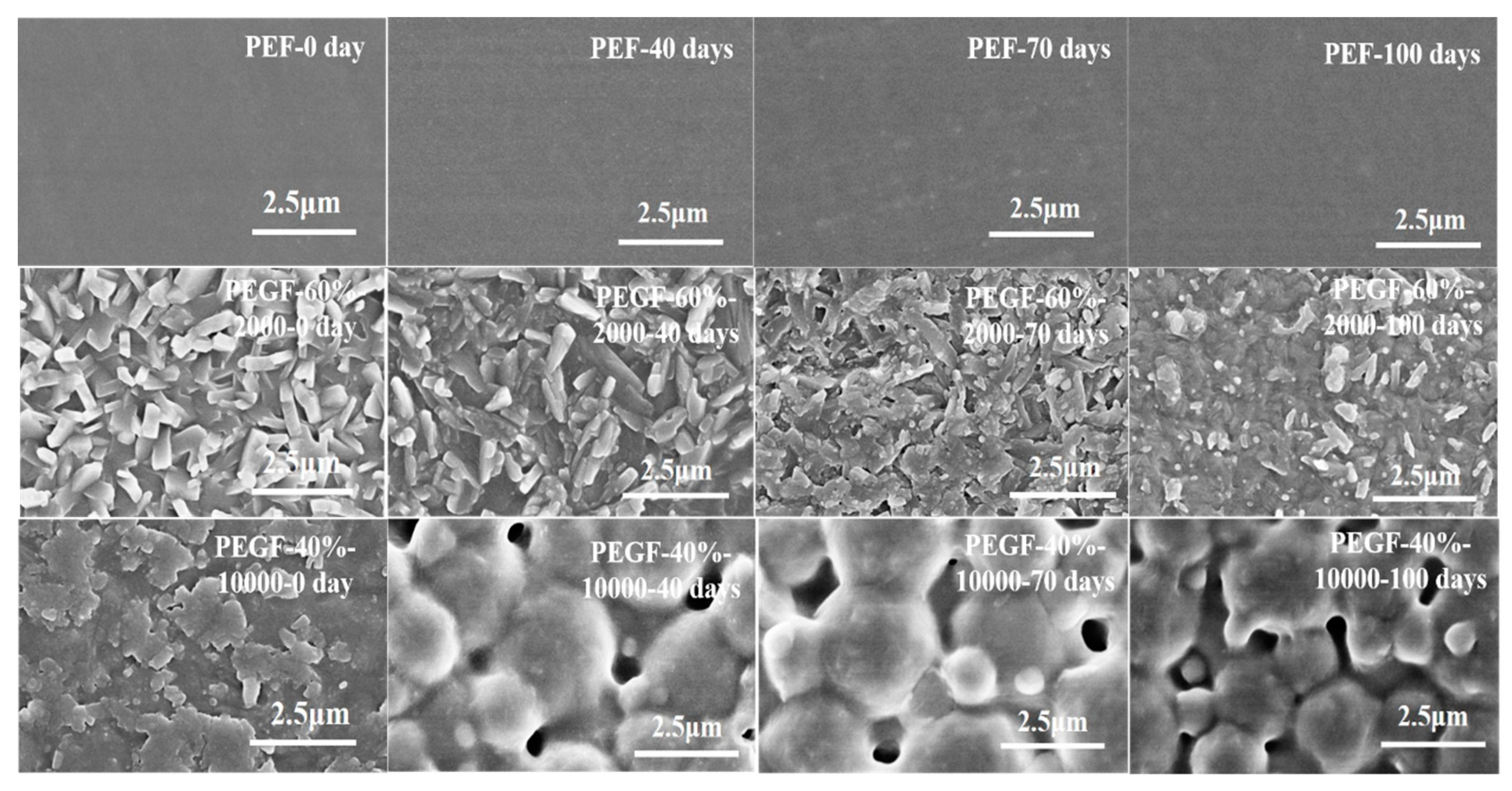 Polymers 11 02105 g019 Polymers 11 02105 g019