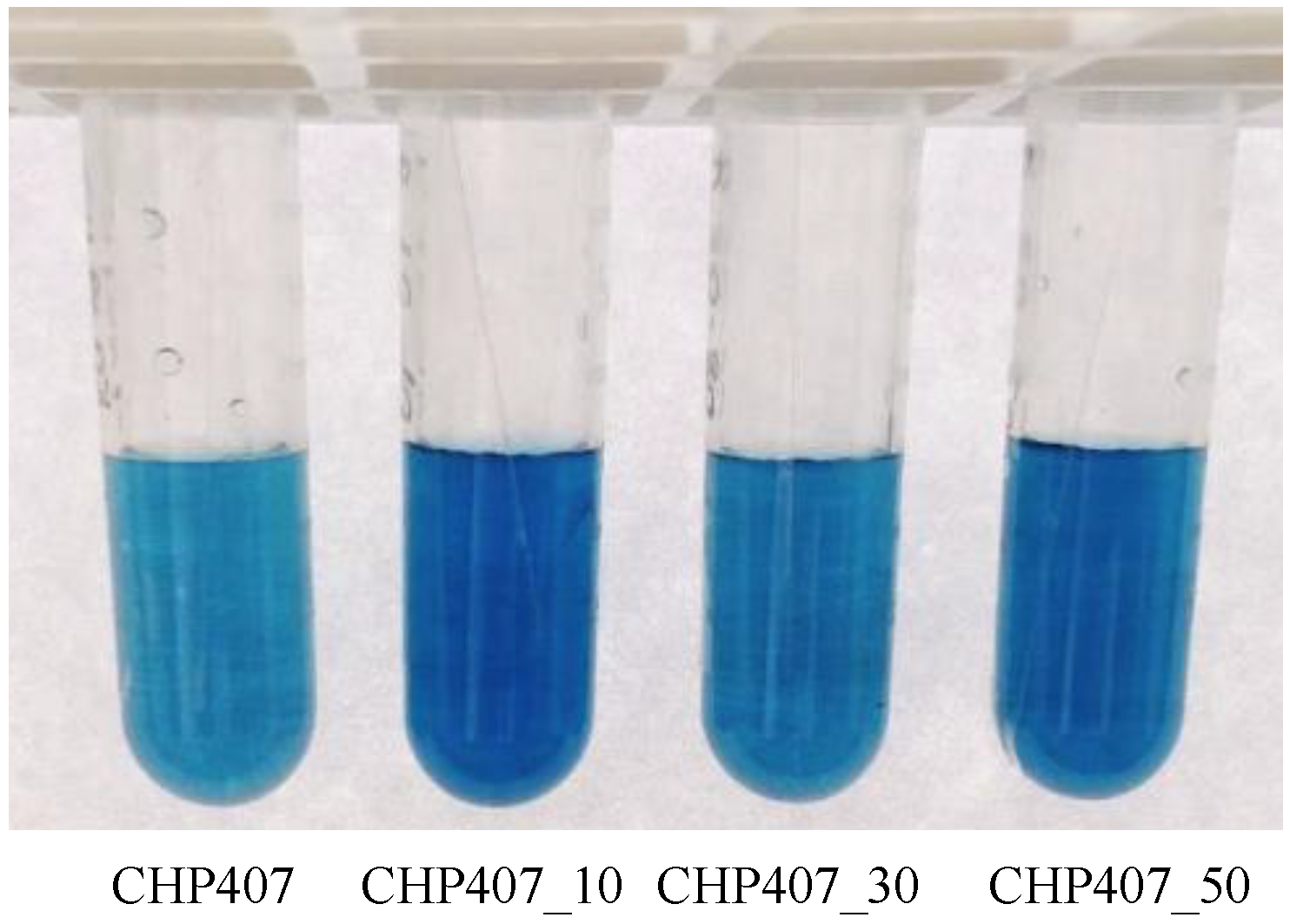 Polymers 11 02109 g006