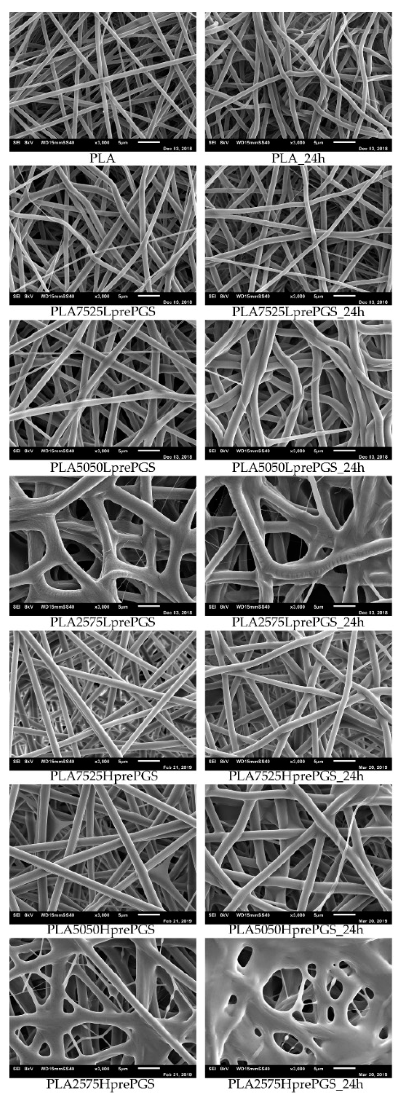Polymers 11 02113 g005 Polymers 11 02113 g005