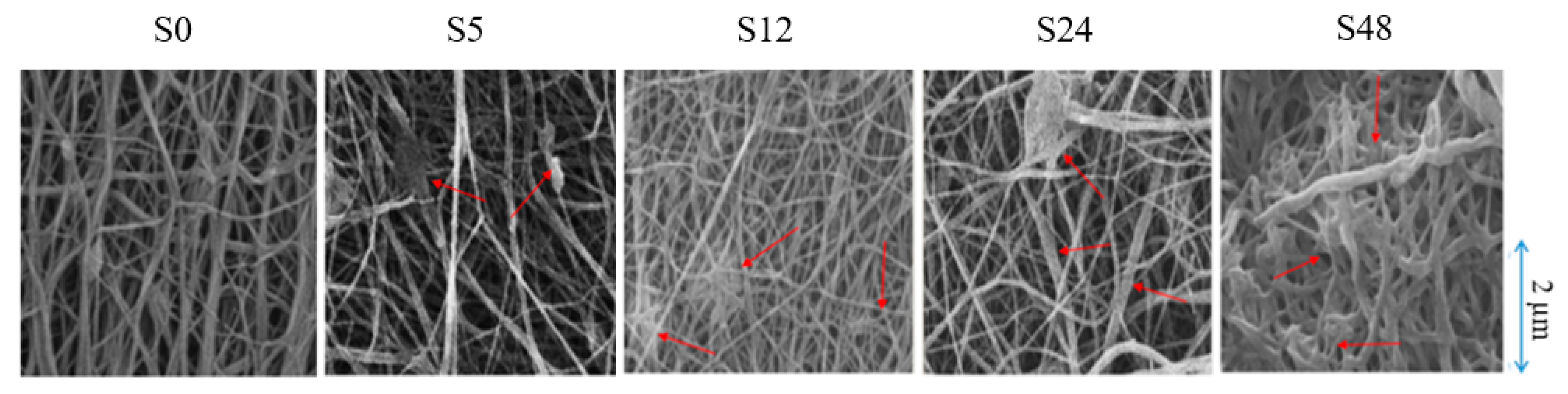 Polymers 11 02117 g001