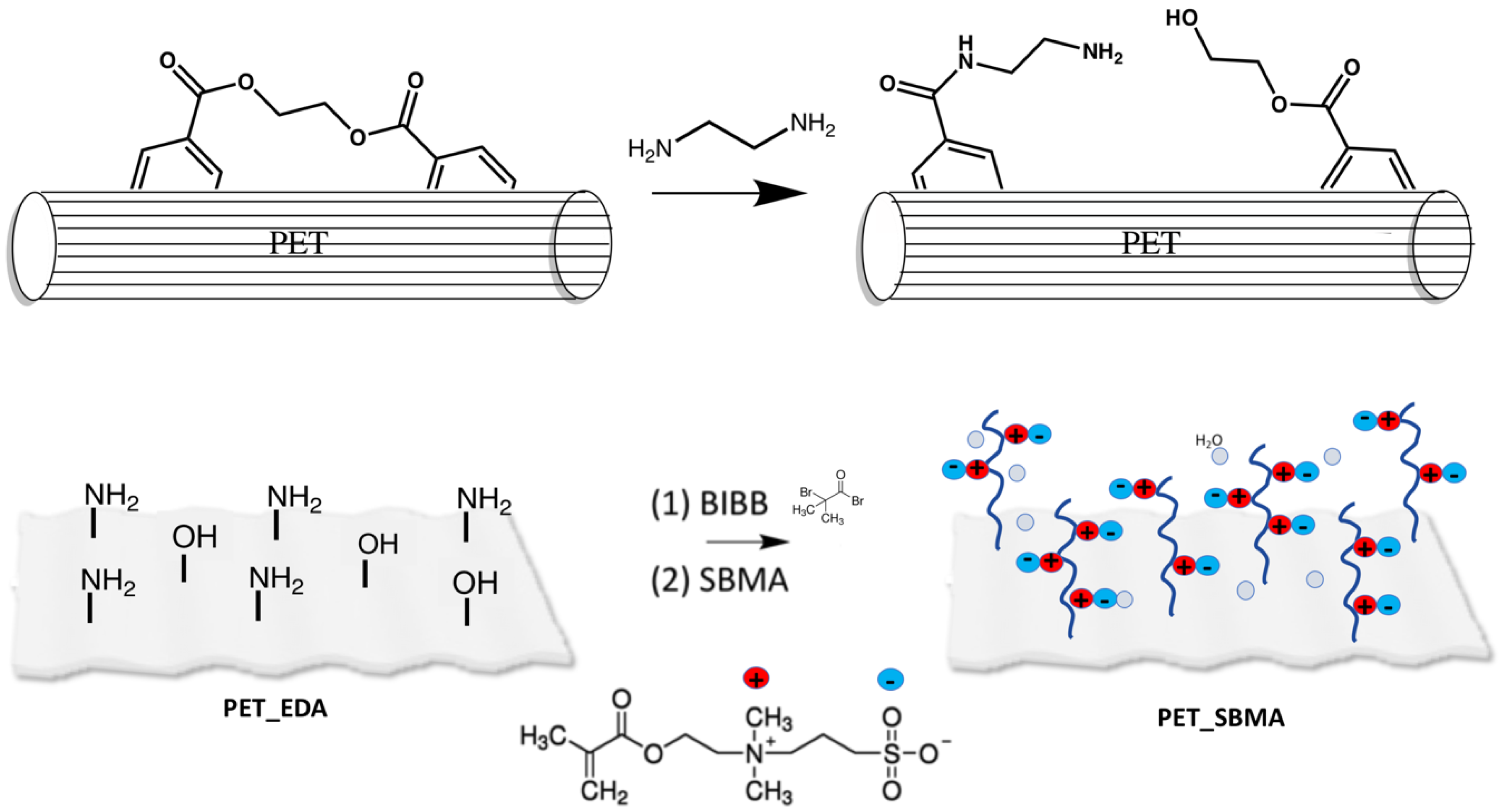 Polymers 12 00006 g001 Polymers 12 00006 g001