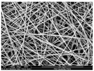 Polymers 12 00007 i001 Polymers 12 00007 i001