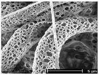 Polymers 12 00007 i002 Polymers 12 00007 i002