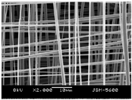 Polymers 12 00007 i006 Polymers 12 00007 i006