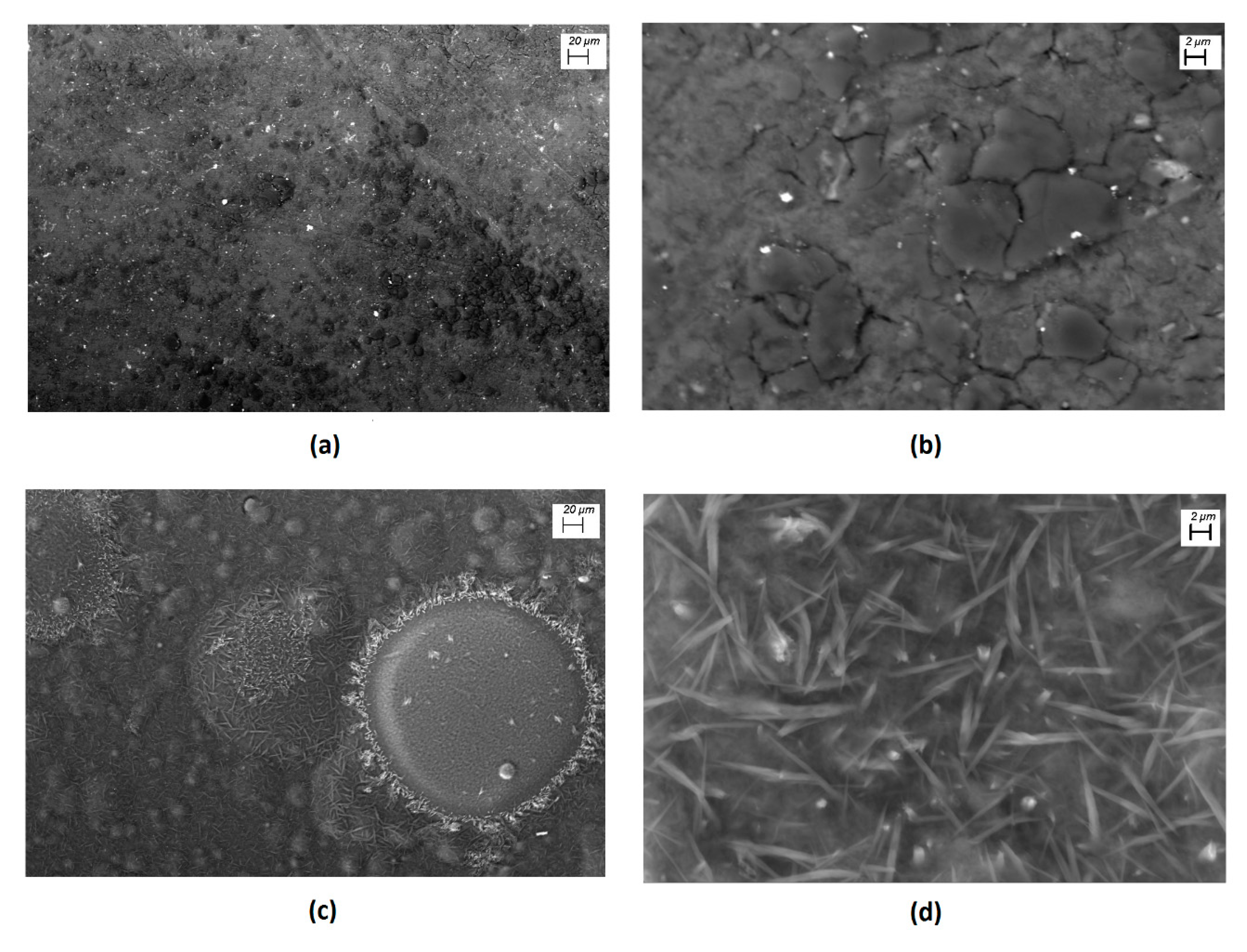 Polymers 12 00009 g003