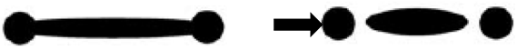 Polymers 12 00010 i003