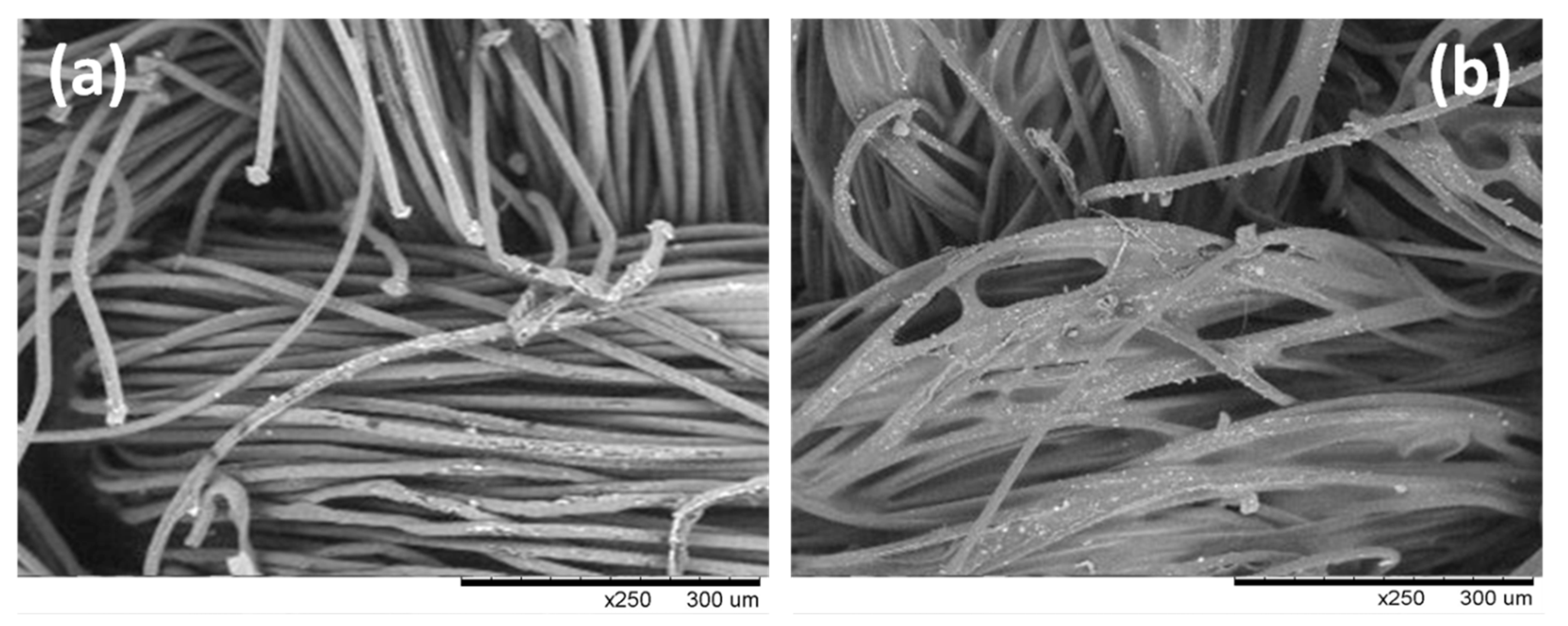 Polymers 12 00015 g005a Polymers 12 00015 g005a