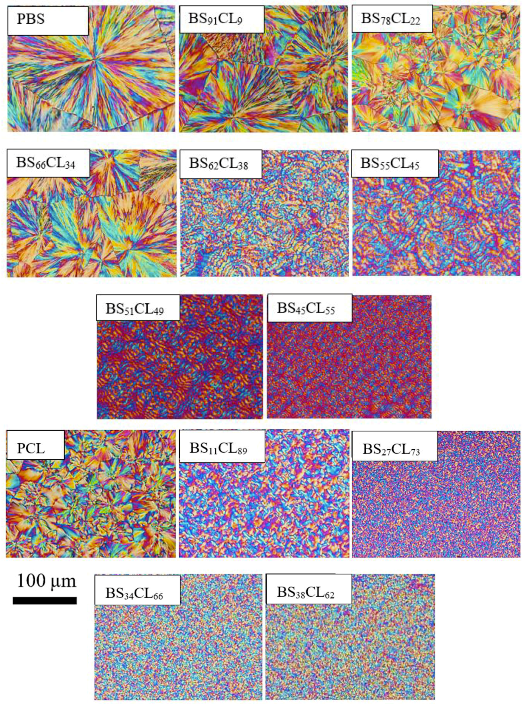 Polymers 12 00017 g005
