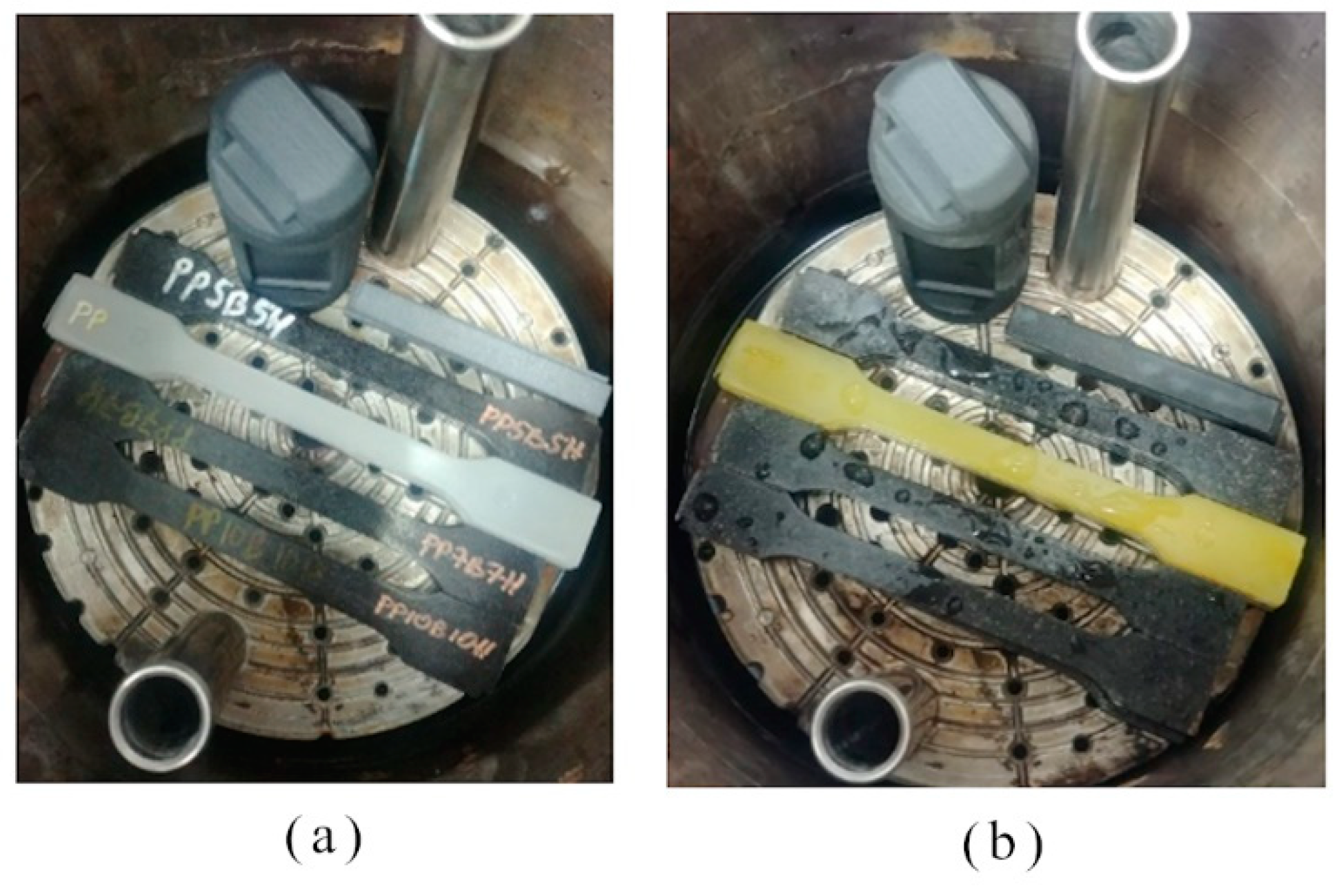 Polymers 12 00018 g002