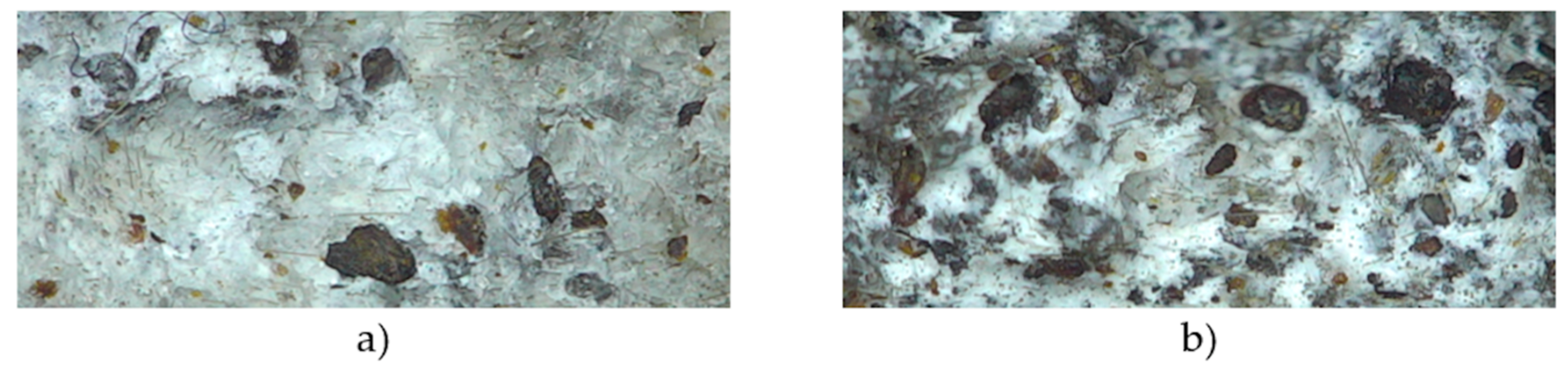 Polymers 12 00018 g010