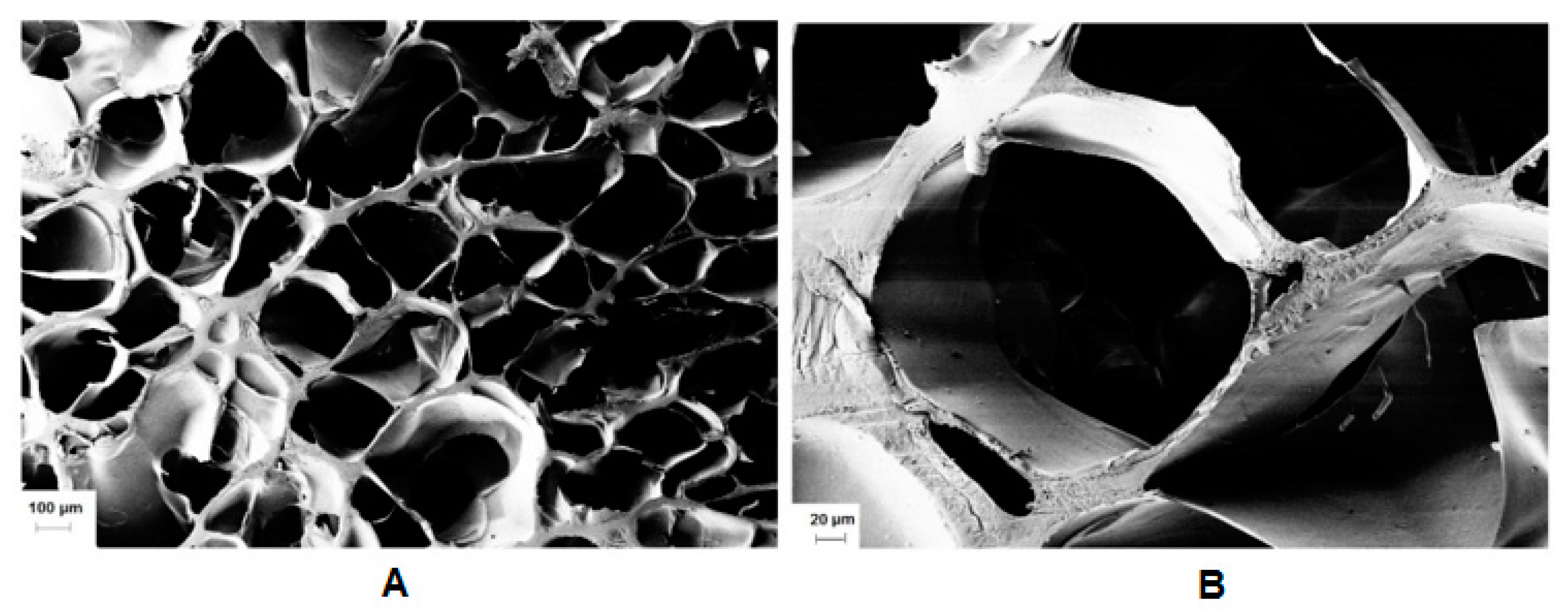 Polymers 12 00035 g008