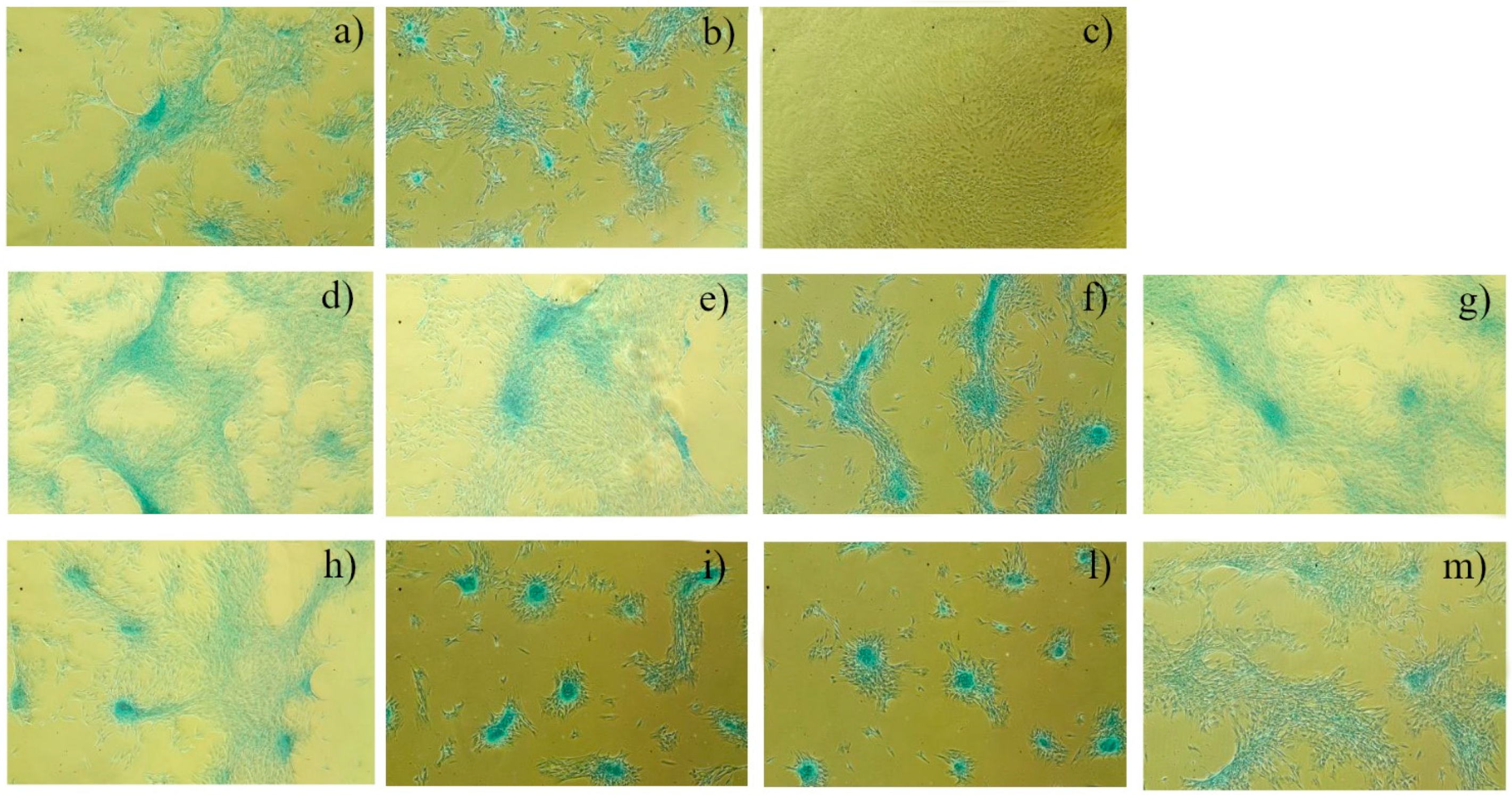 Polymers 12 00037 g004 Polymers 12 00037 g004