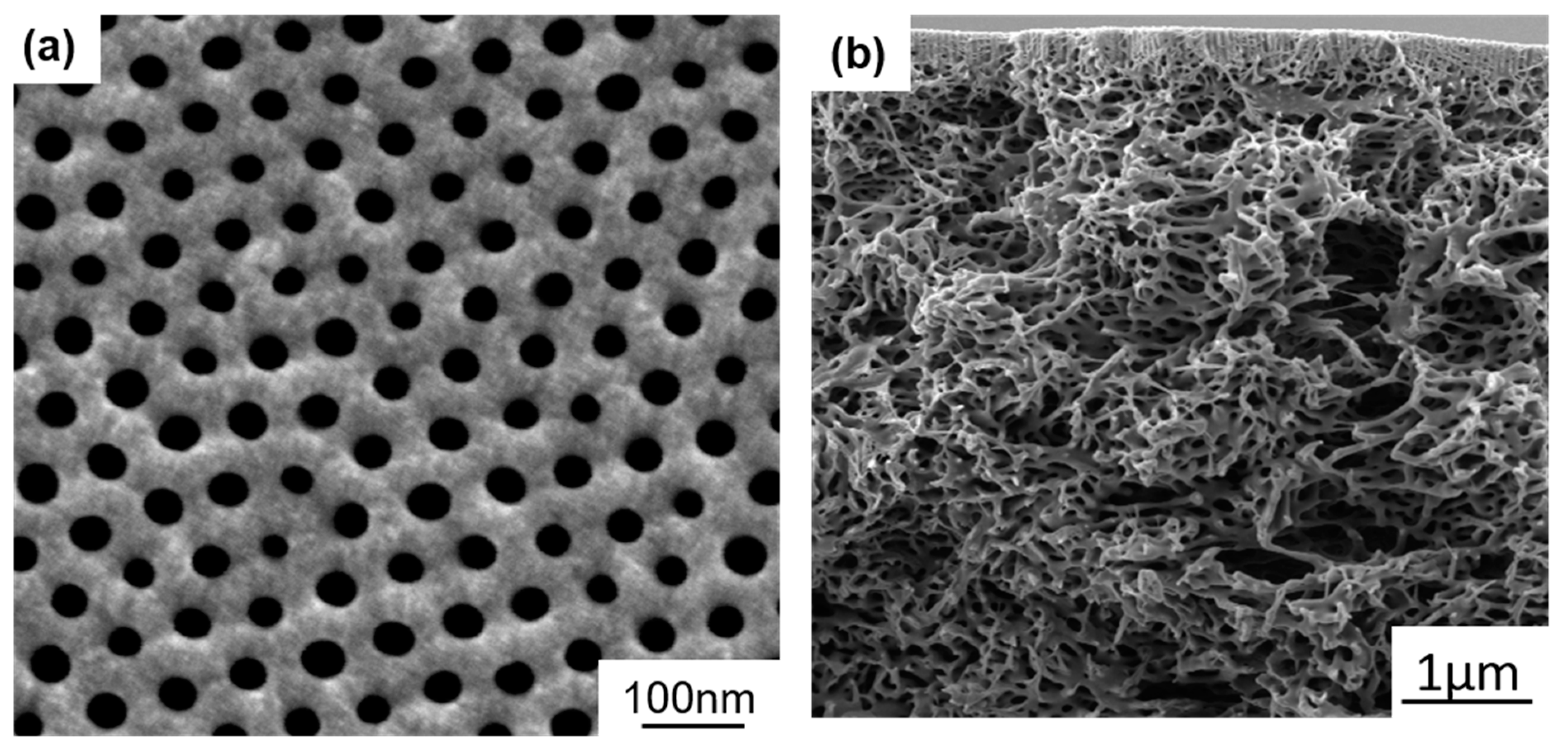 Polymers 12 00041 g003