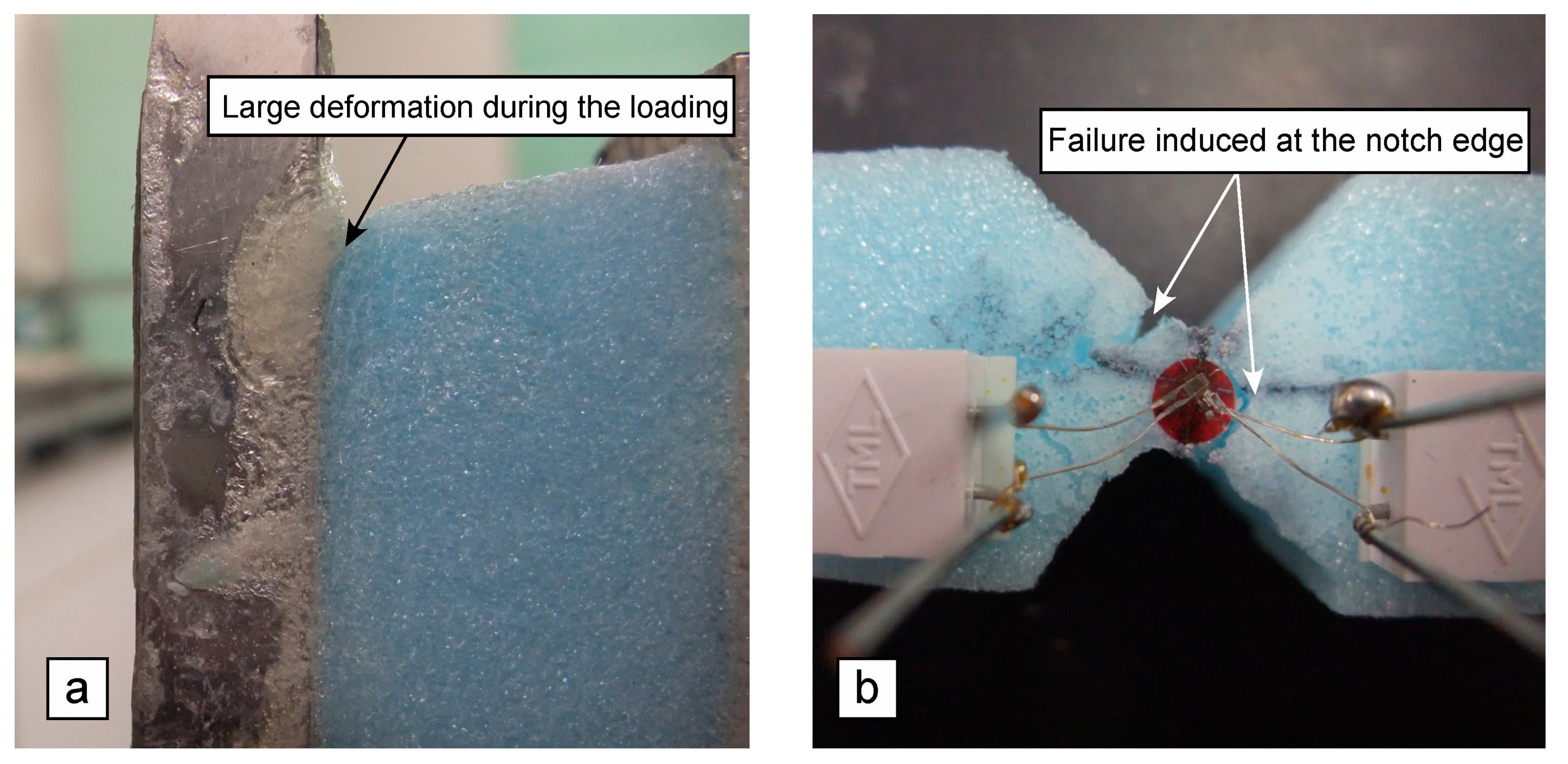 Polymers 12 00047 g010