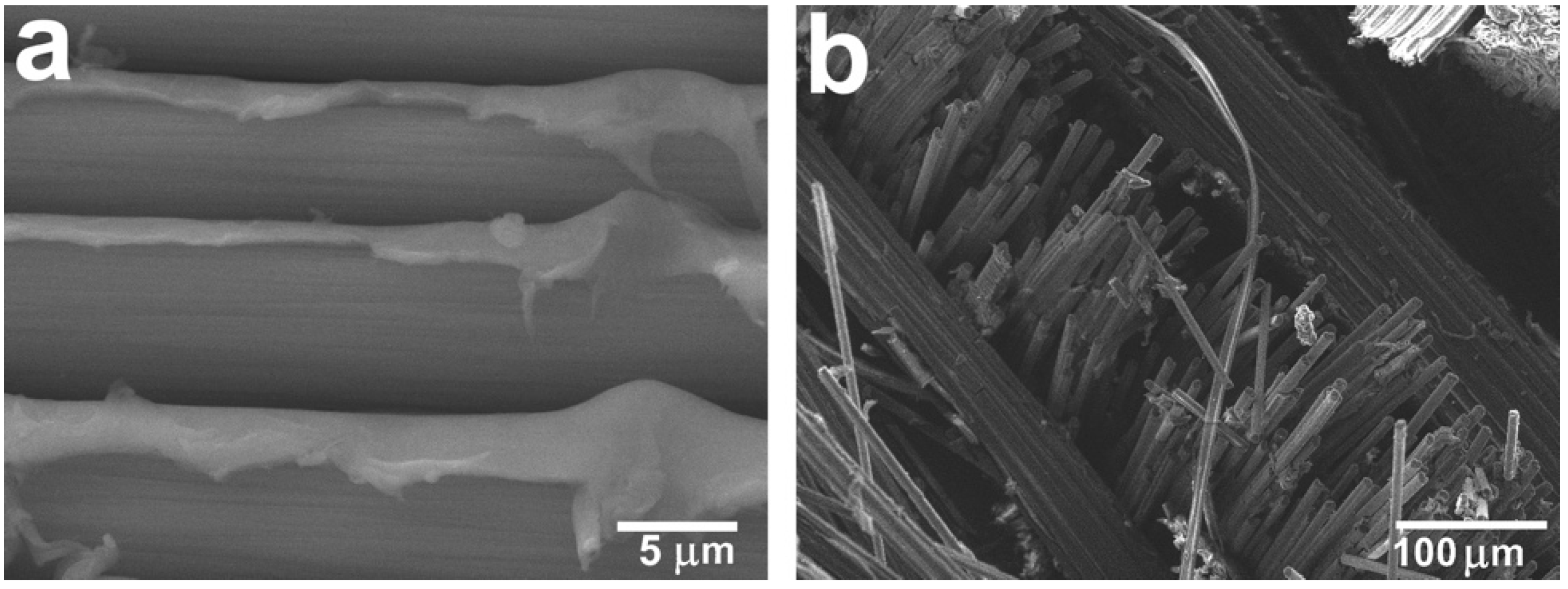 Polymers 12 00050 g007 Polymers 12 00050 g007
