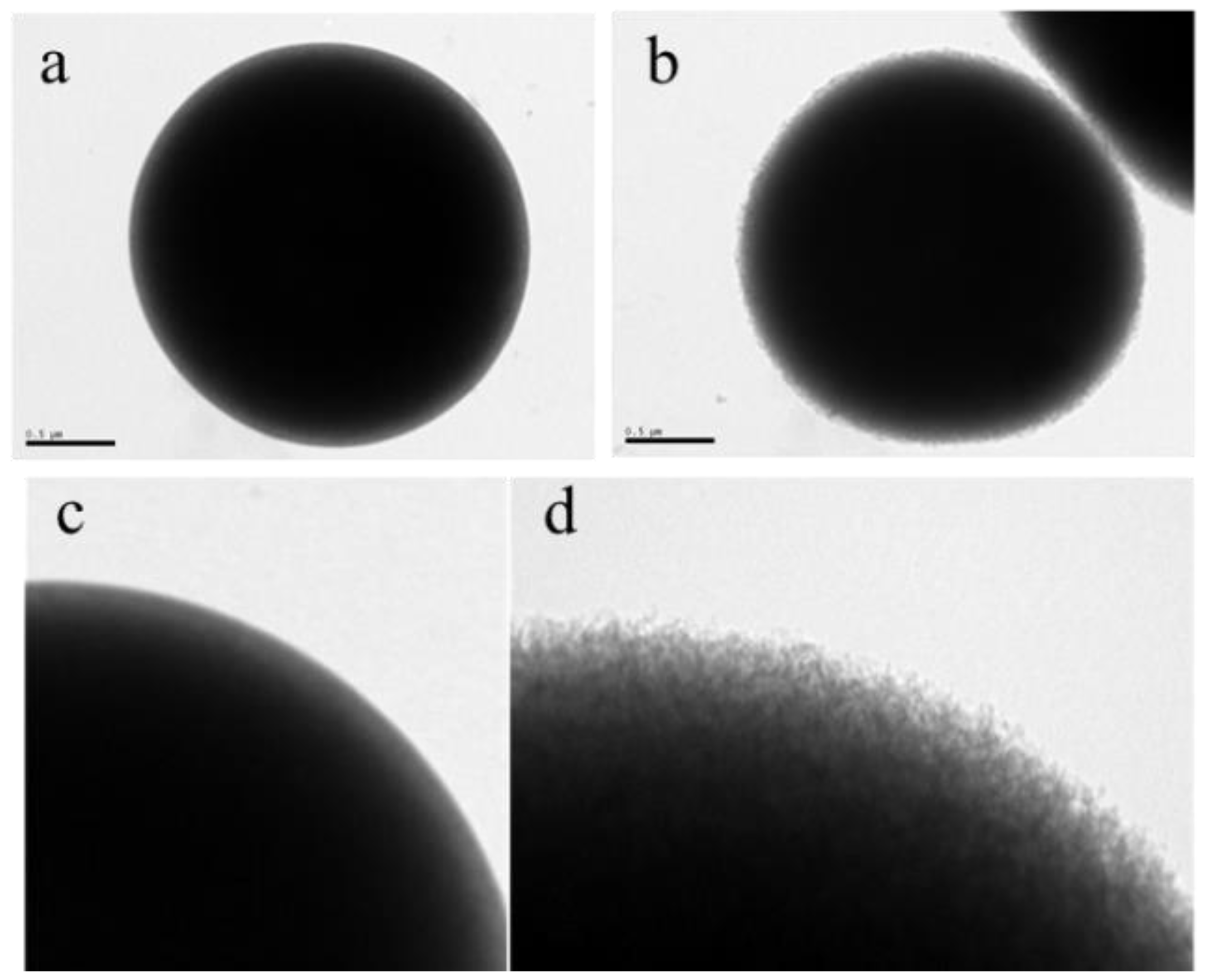 Polymers 12 00051 g002