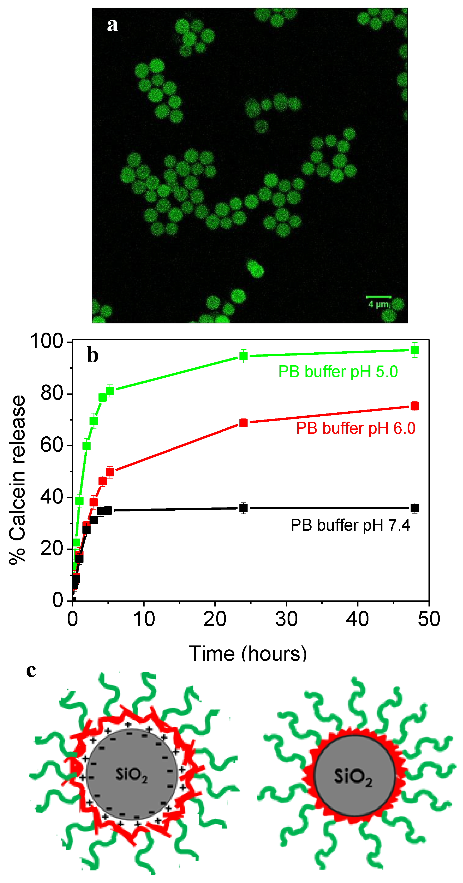 Polymers 12 00051 g003