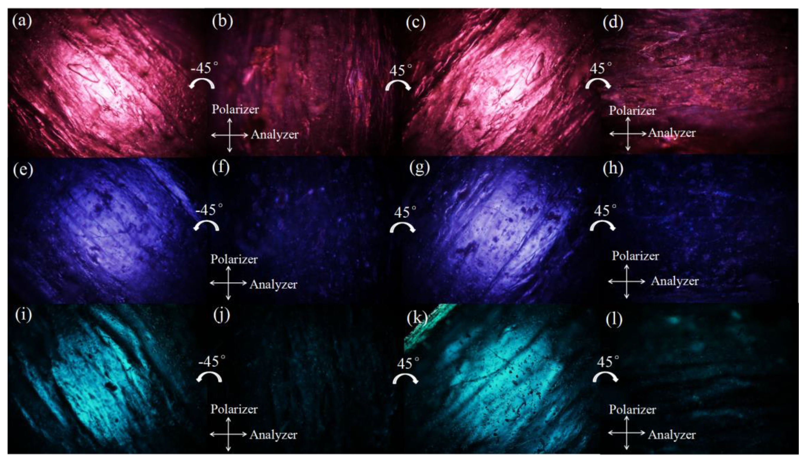 Polymers 12 00054 g003