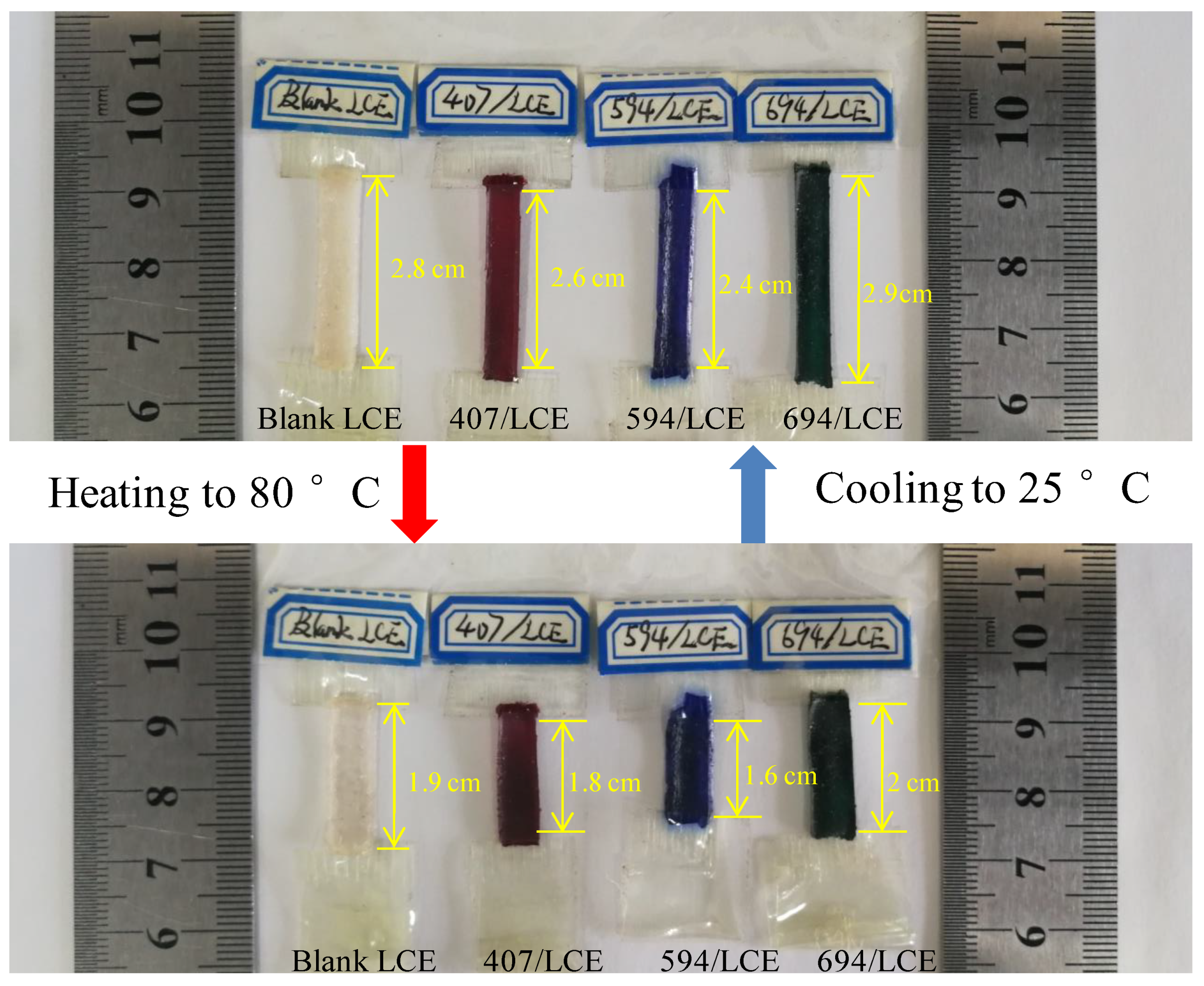 Polymers 12 00054 g005
