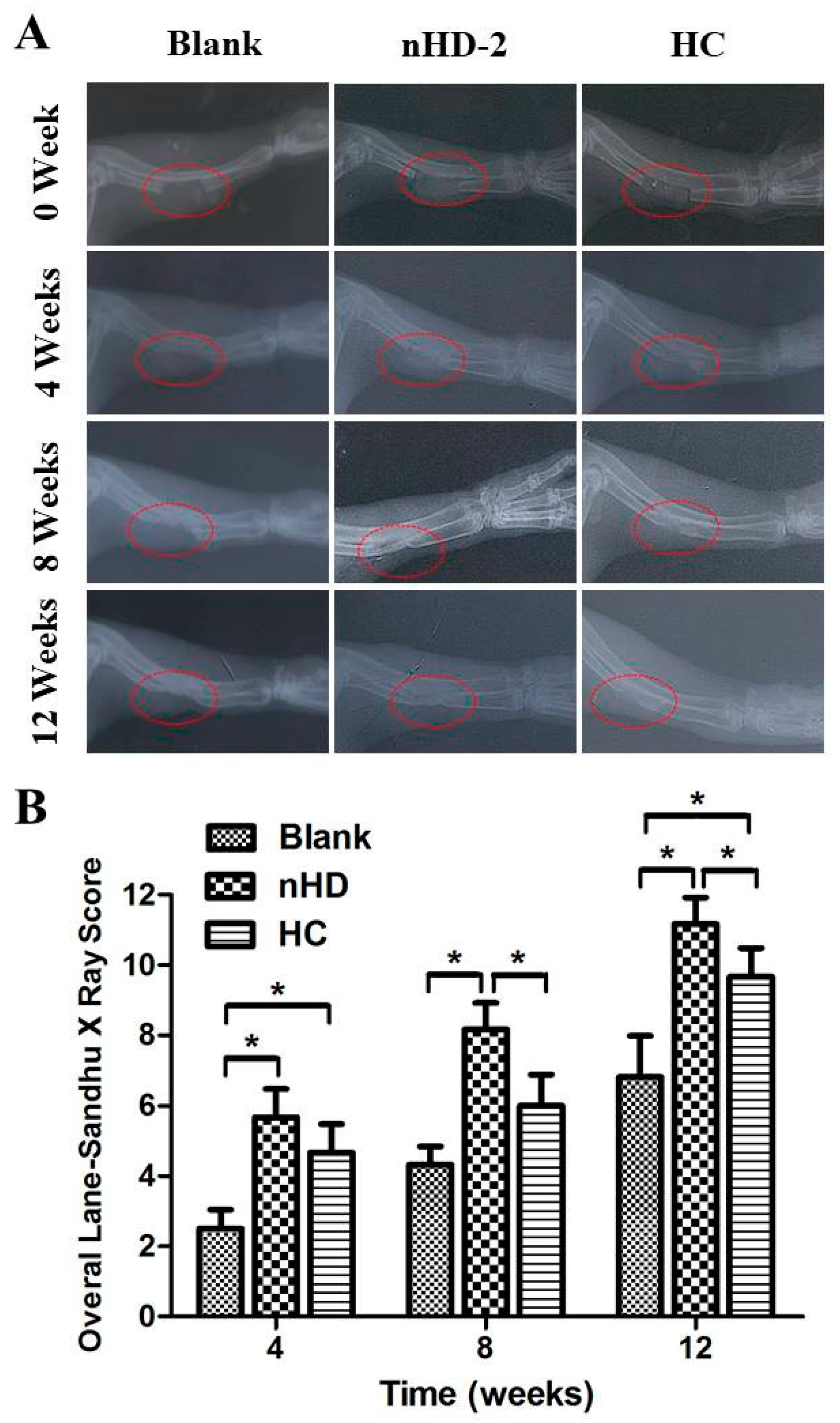 Polymers 12 00061 g009