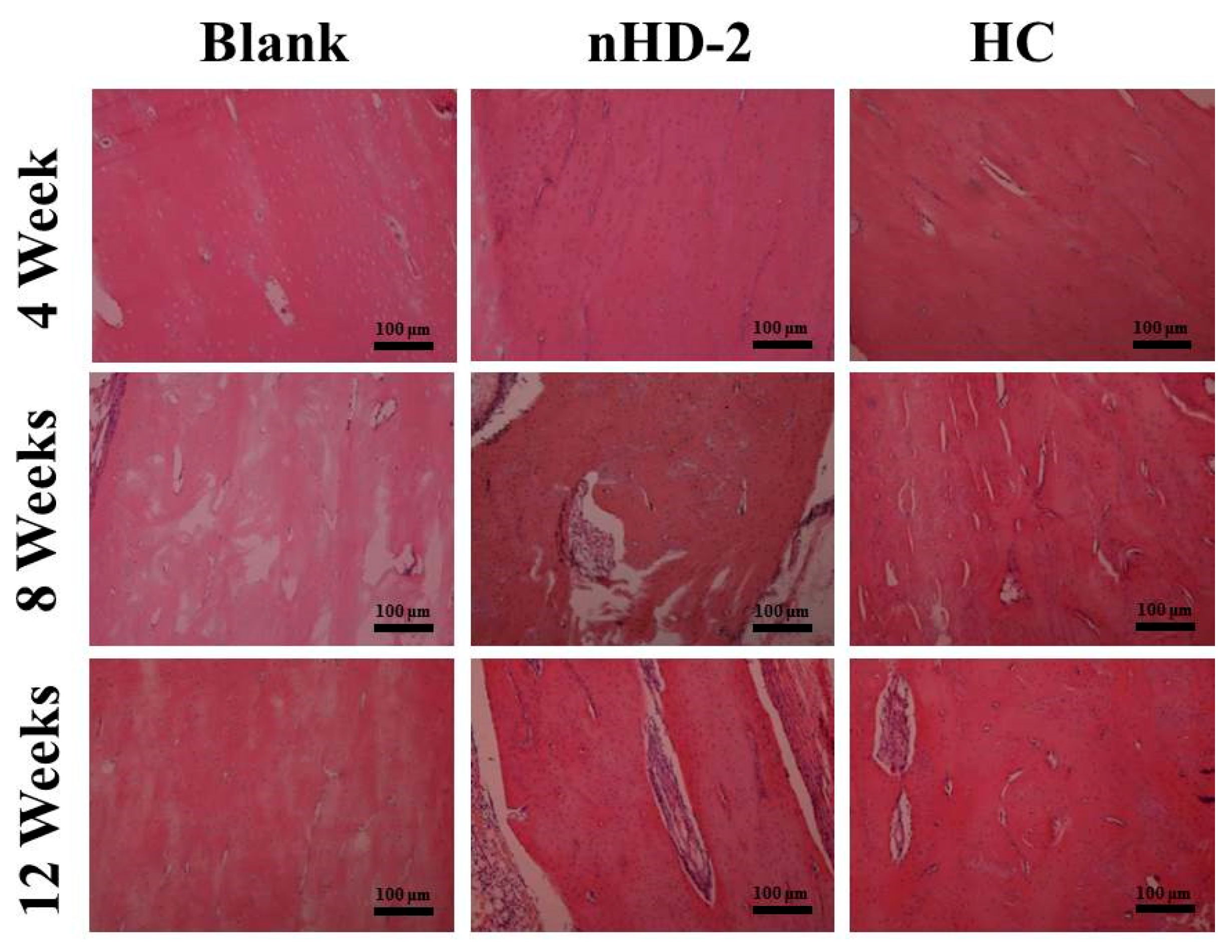 Polymers 12 00061 g010