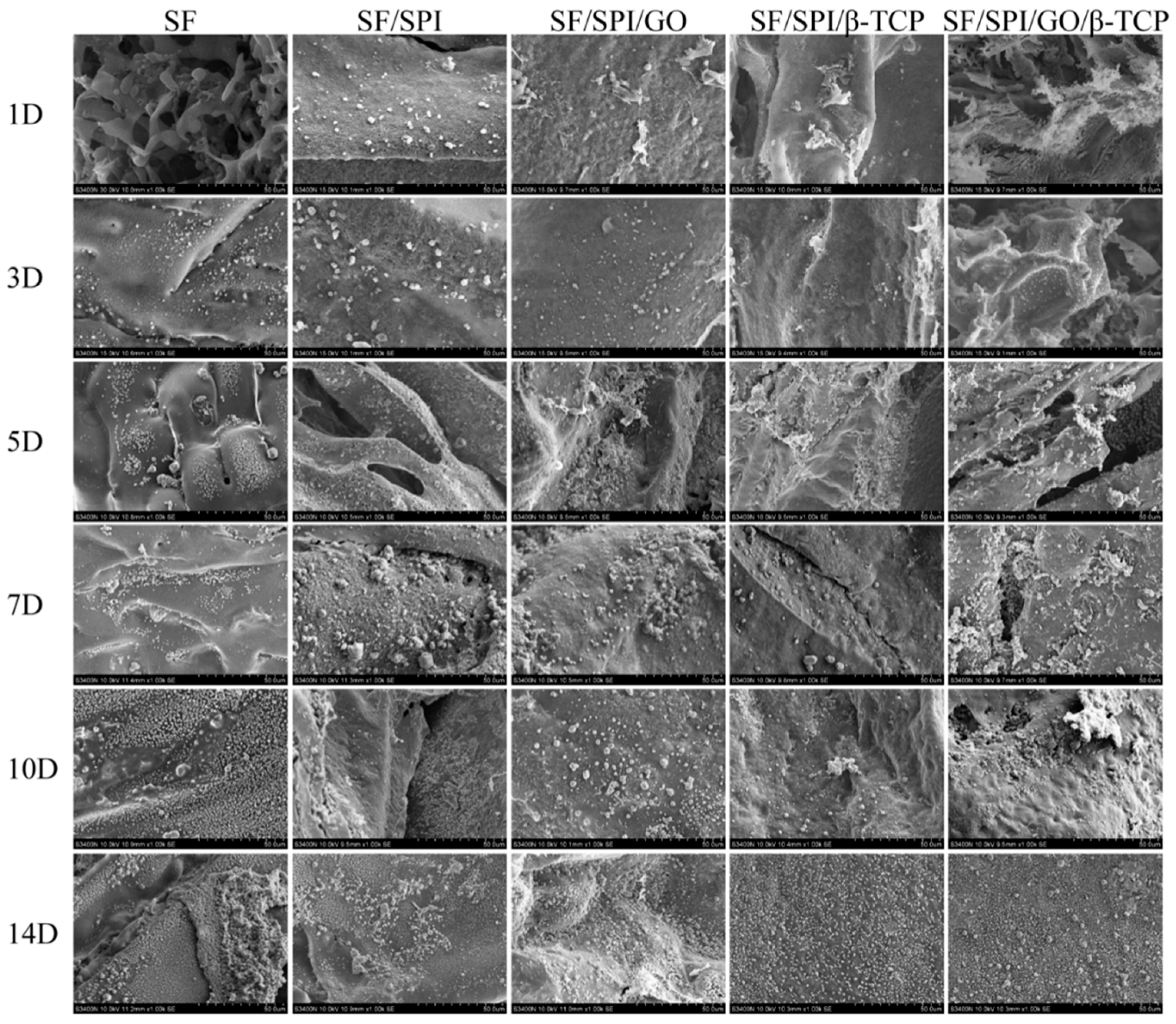 Polymers 12 00069 g007 Polymers 12 00069 g007