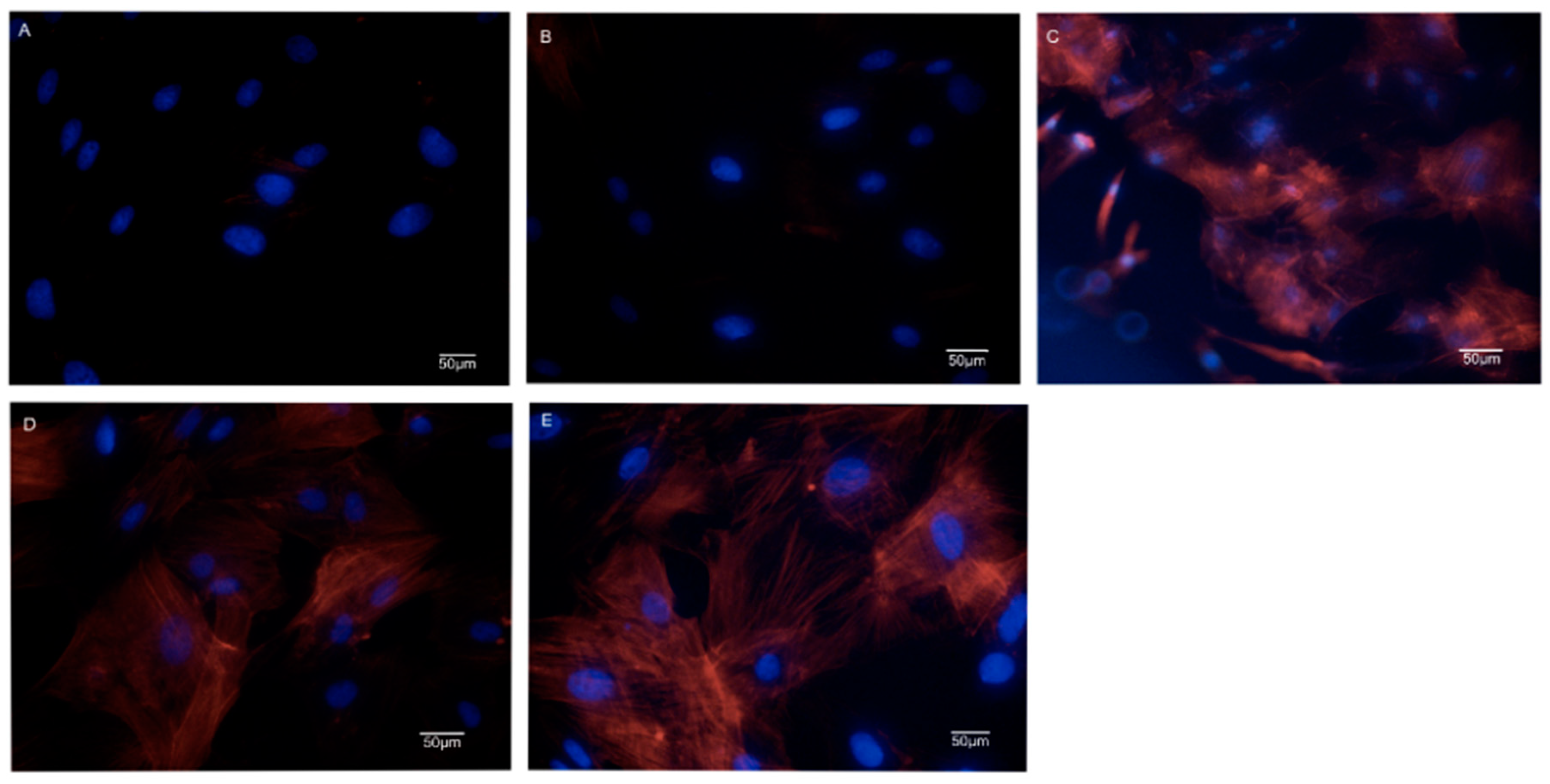 Polymers 12 00069 g011 Polymers 12 00069 g011