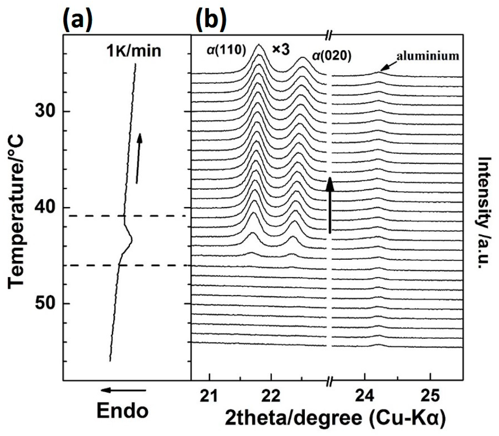Polymers 12 00075 g005
