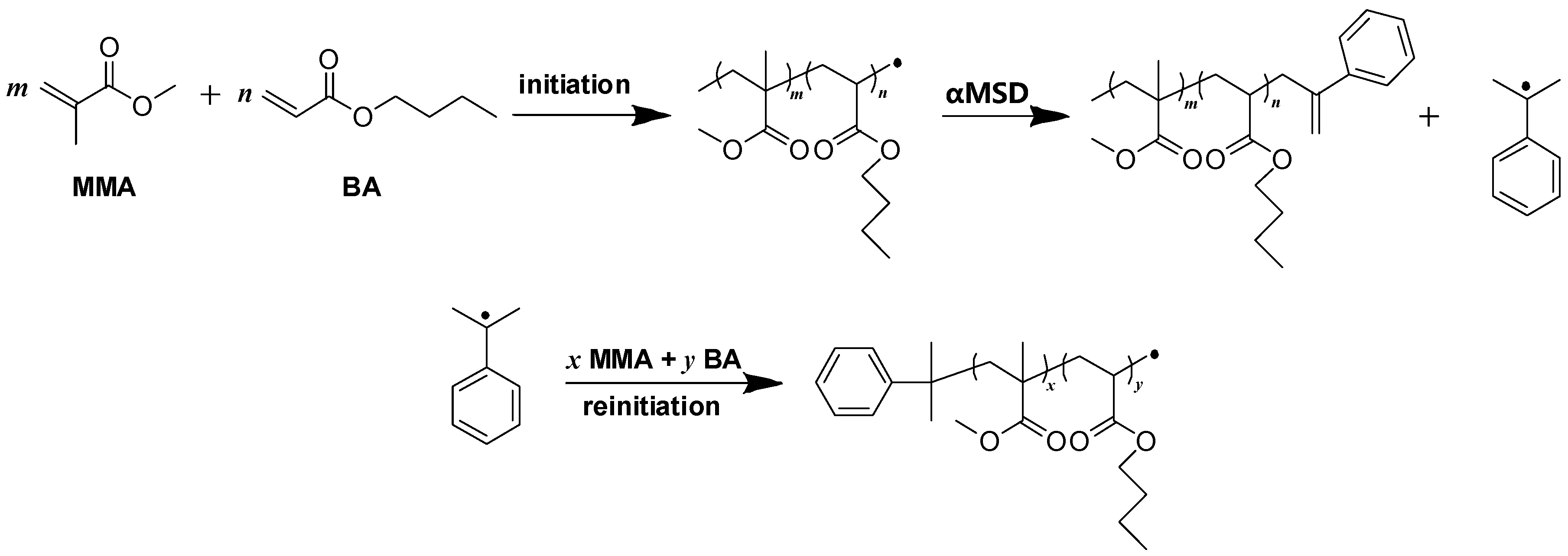 Polymers 12 00080 sch004