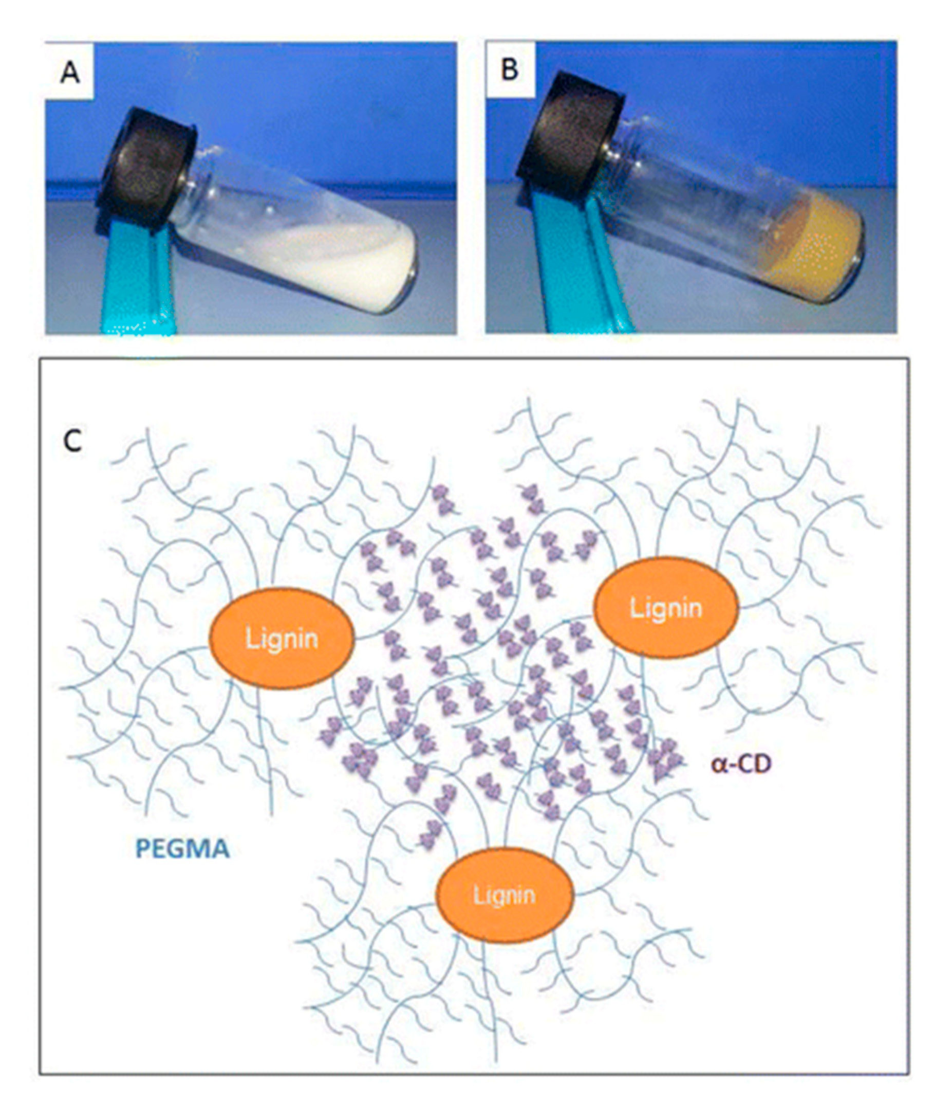 Polymers 12 00081 g011 Polymers 12 00081 g011