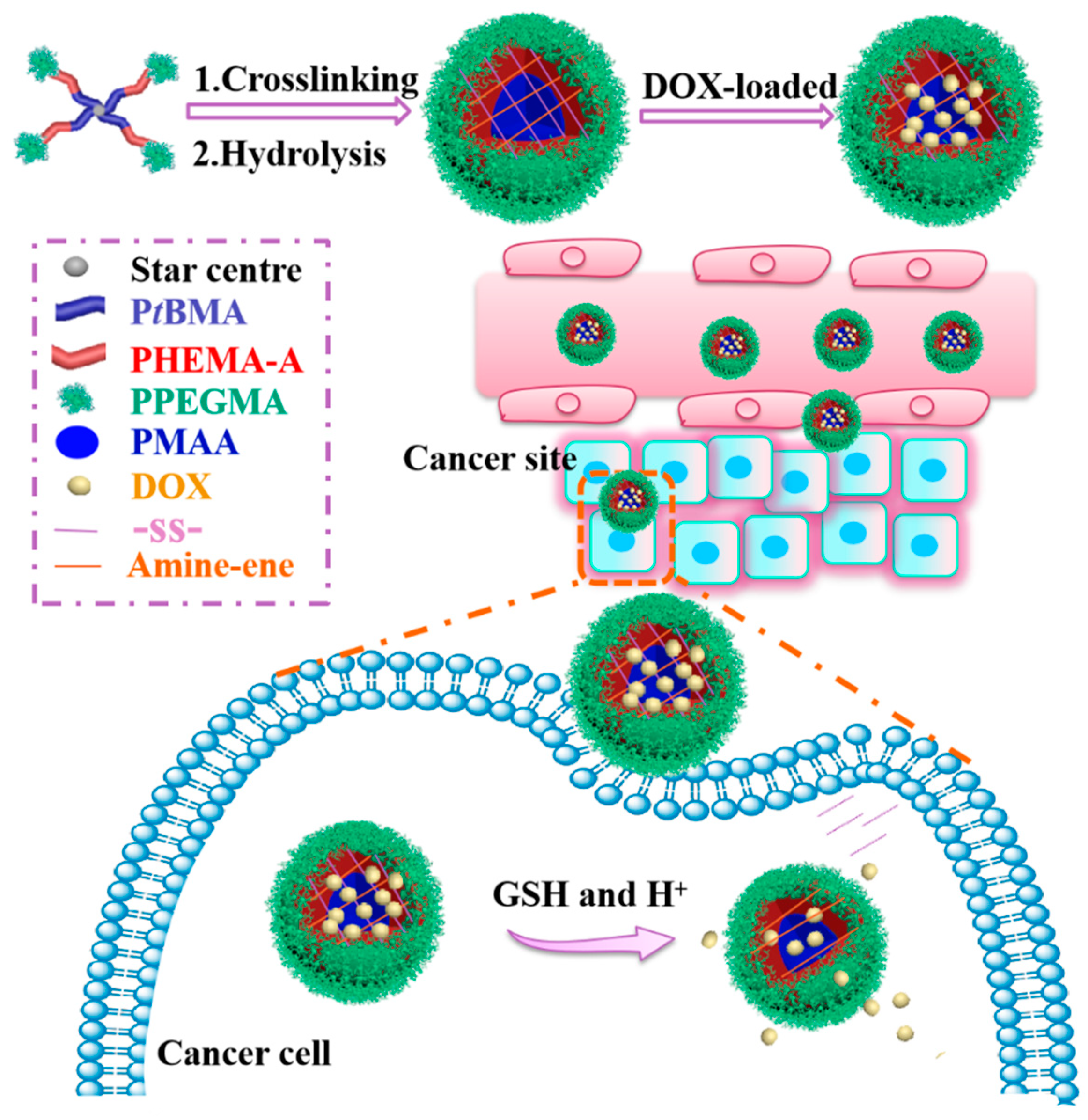 Polymers 12 00082 sch001 Polymers 12 00082 sch001