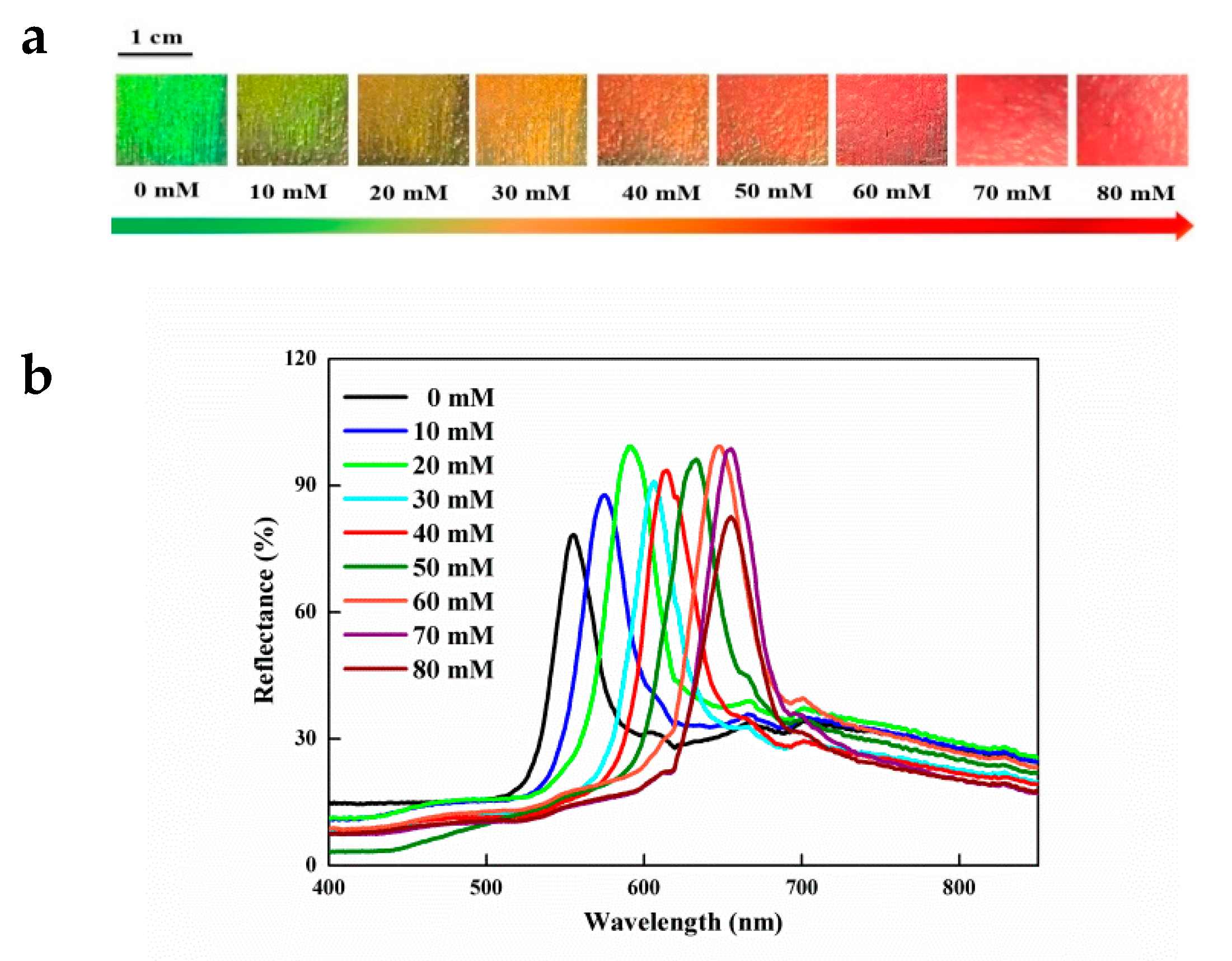 Polymers 12 00083 g003