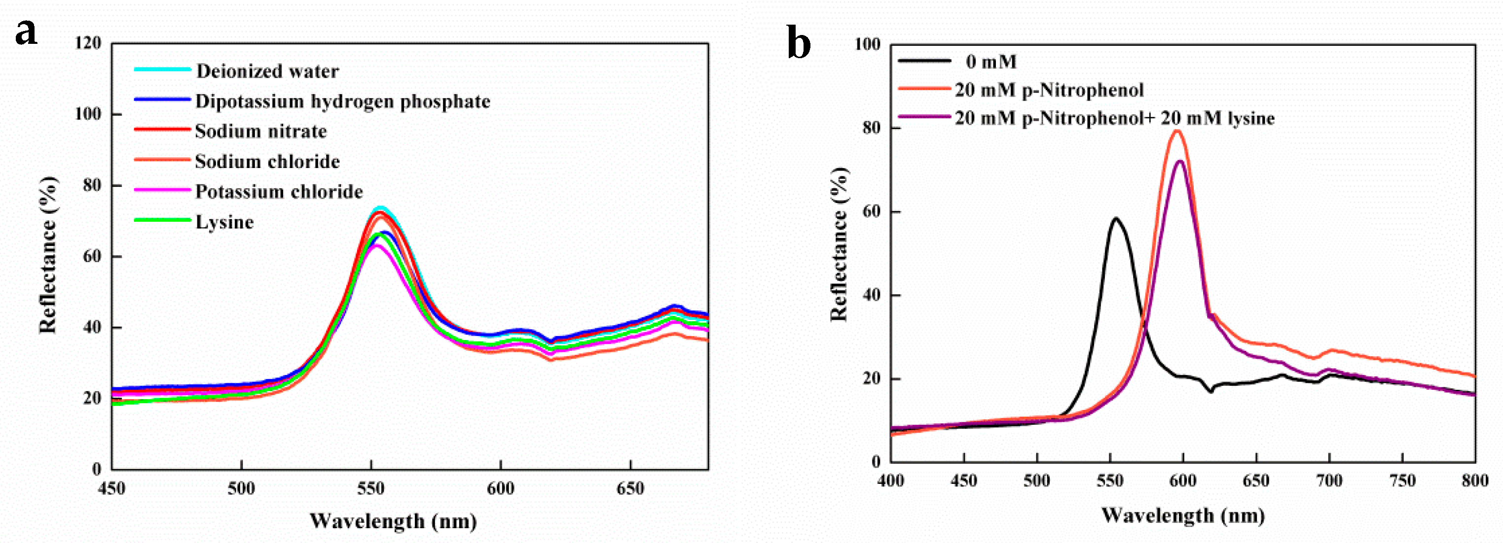 Polymers 12 00083 g006